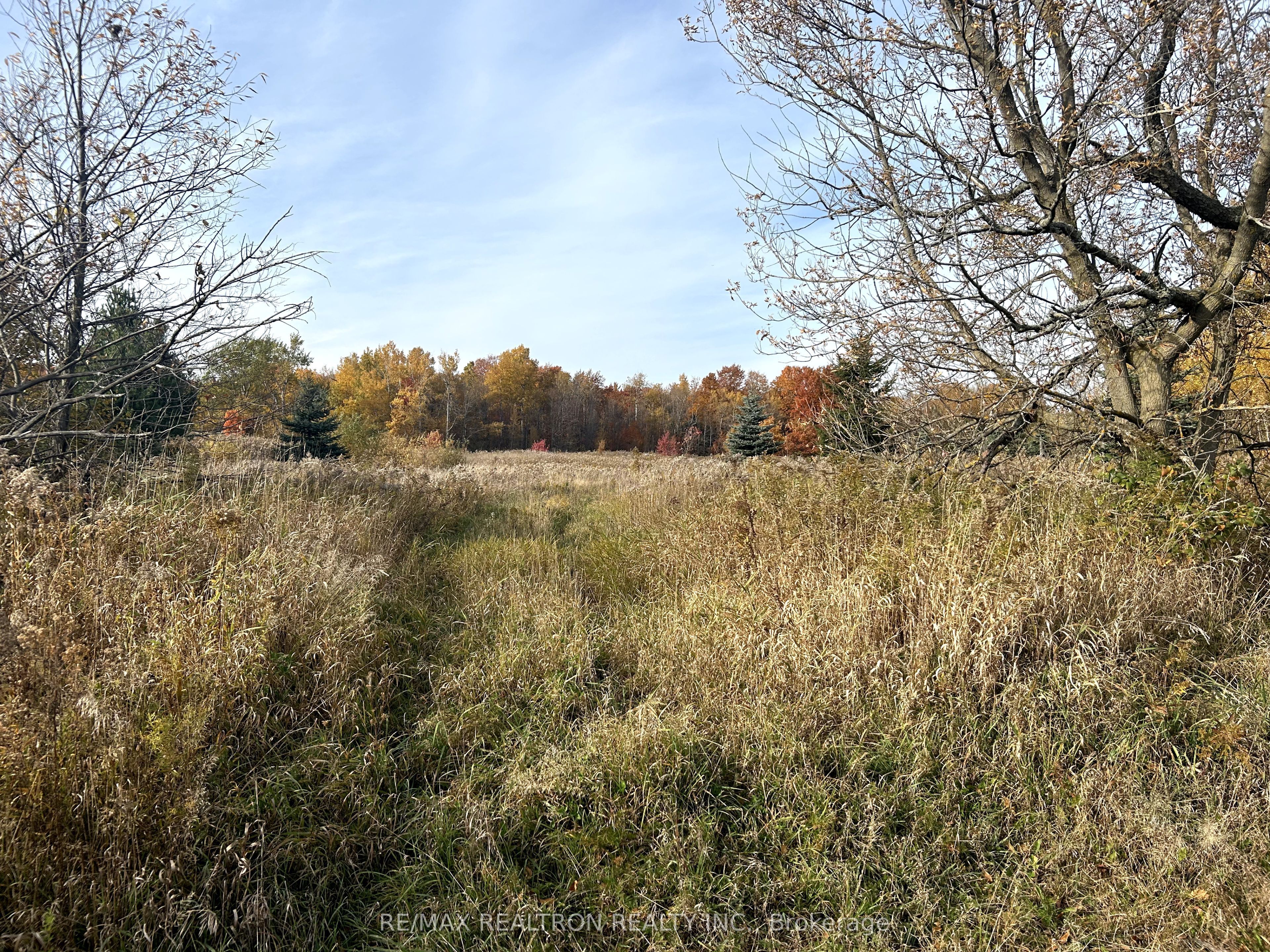 833160 4th Line Property Photo 32