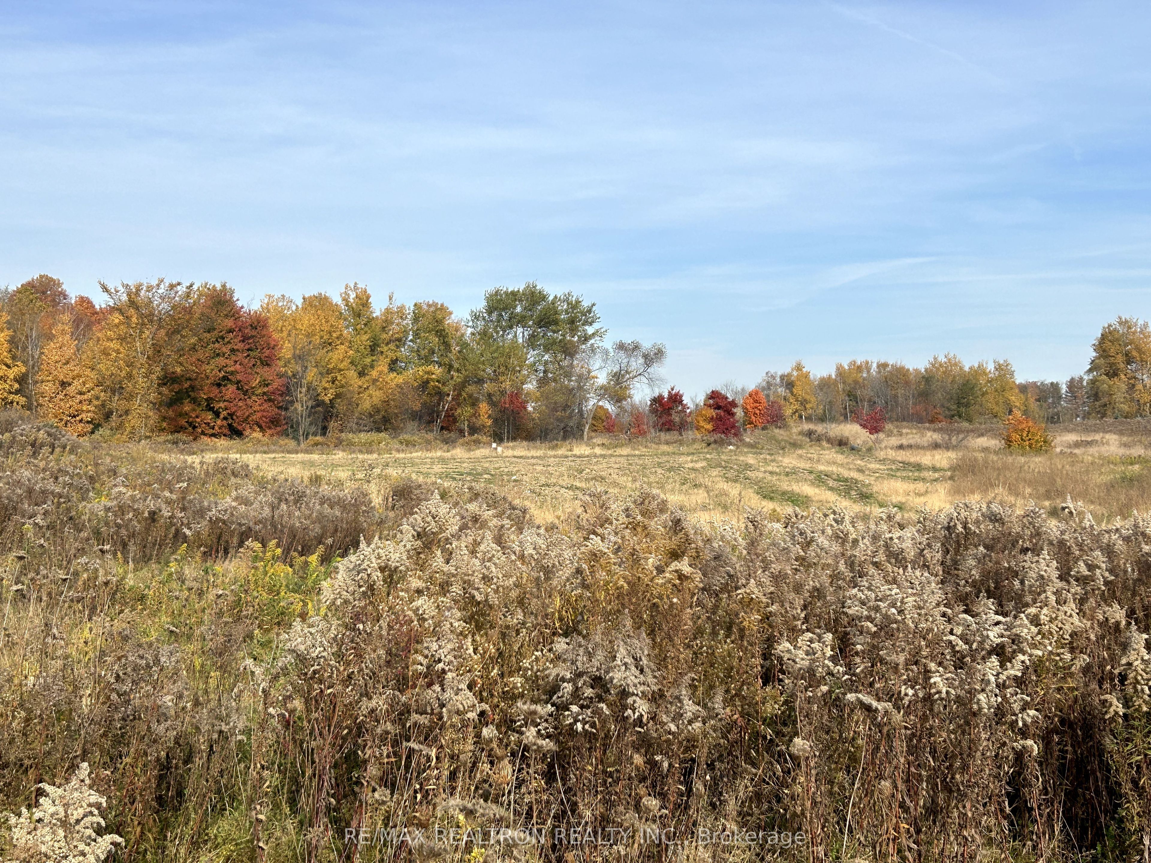 833160 4th Line Property Photo 33