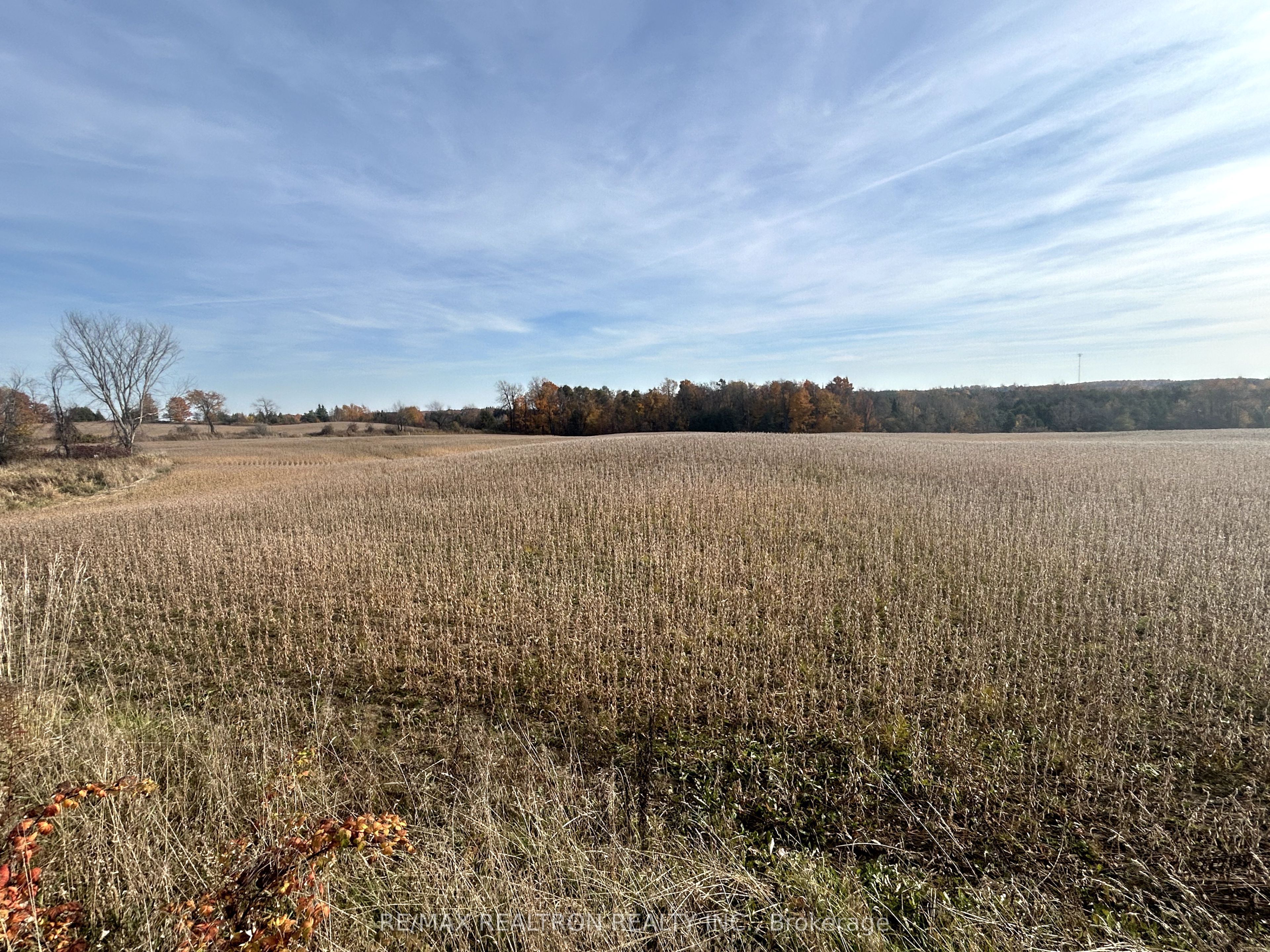 833160 4th Line Property Photo 35