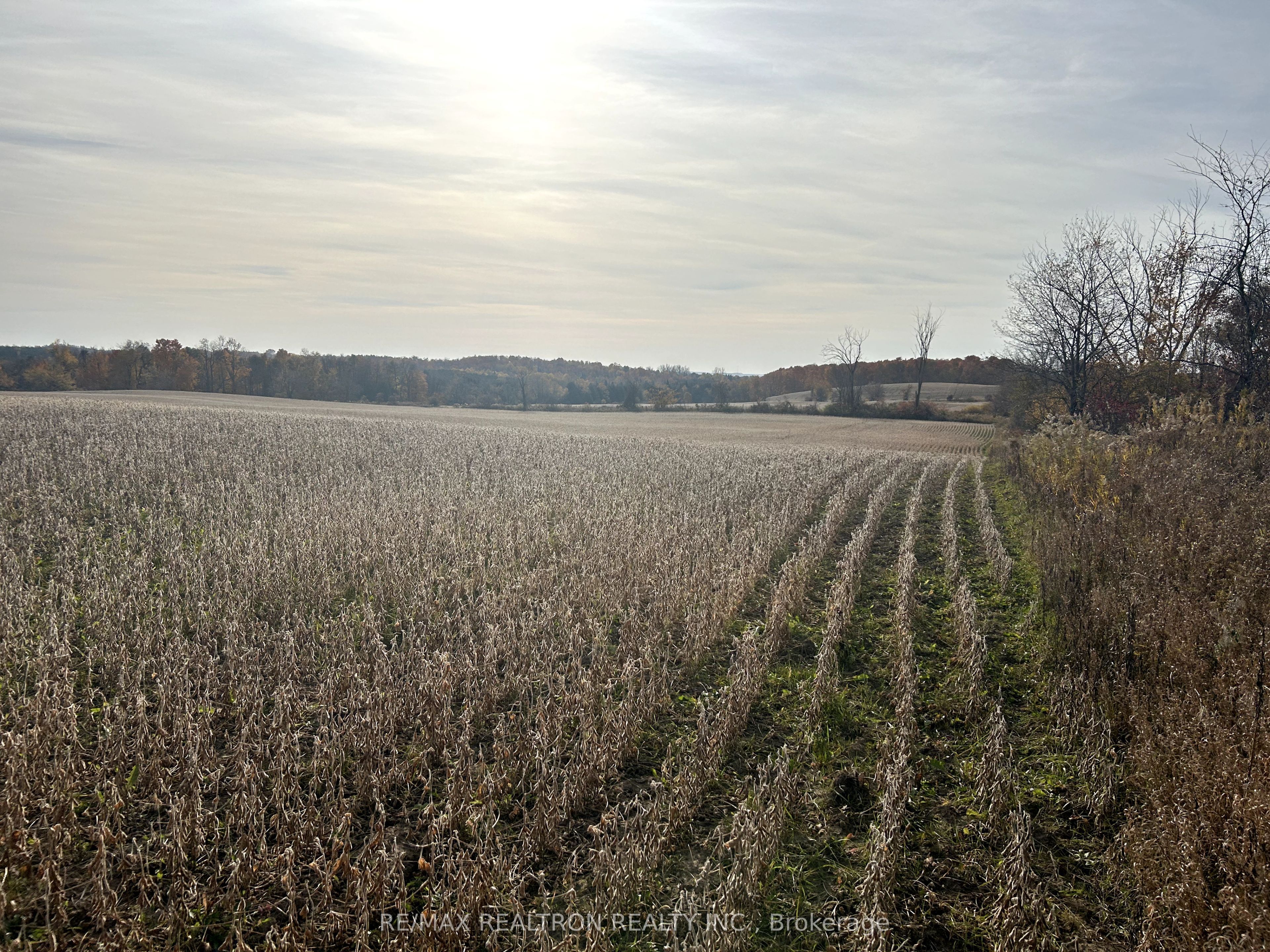 833160 4th Line Property Photo 36