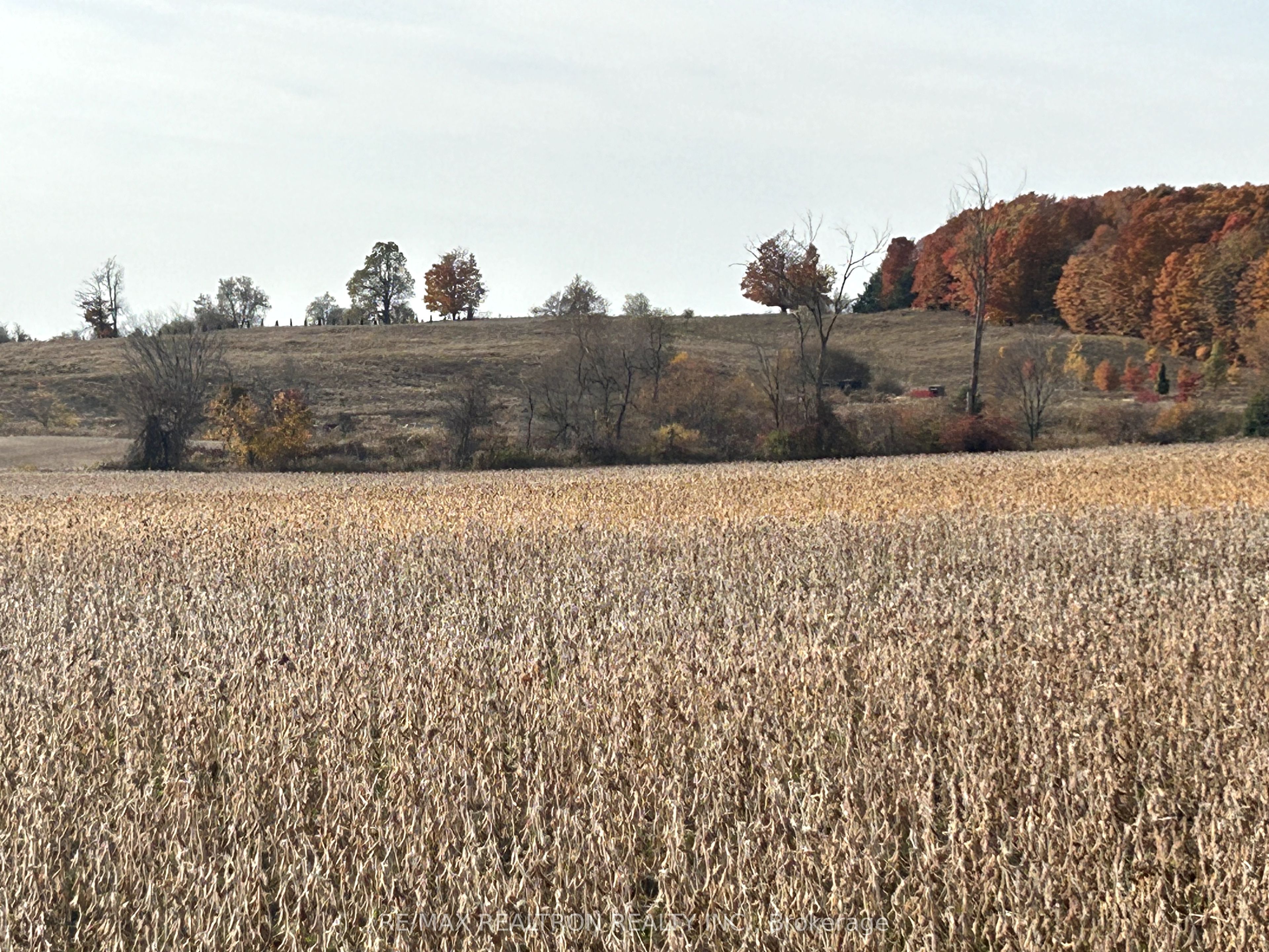 833160 4th Line Property Photo 37