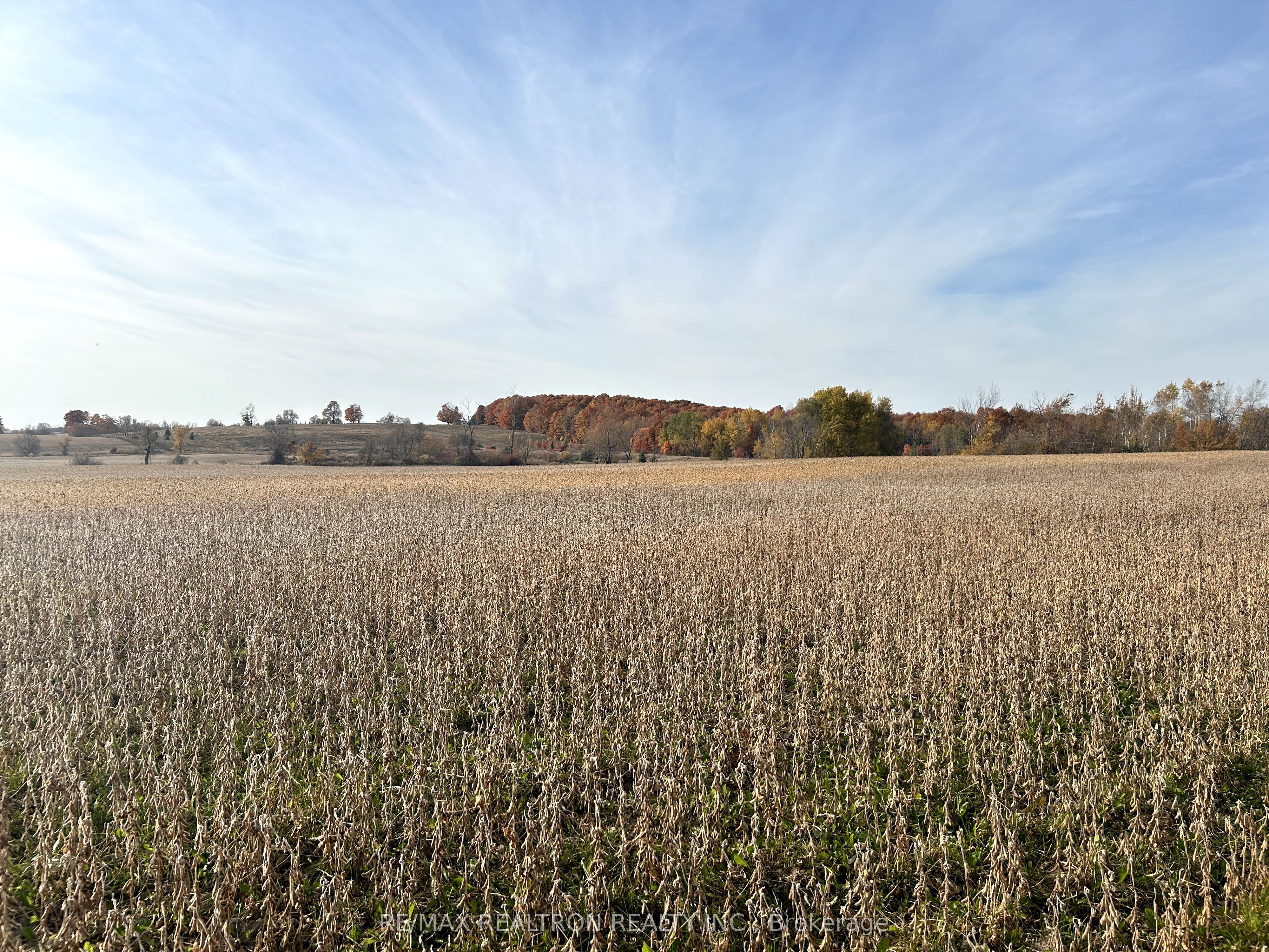 833160 4th Line Property Photo 38