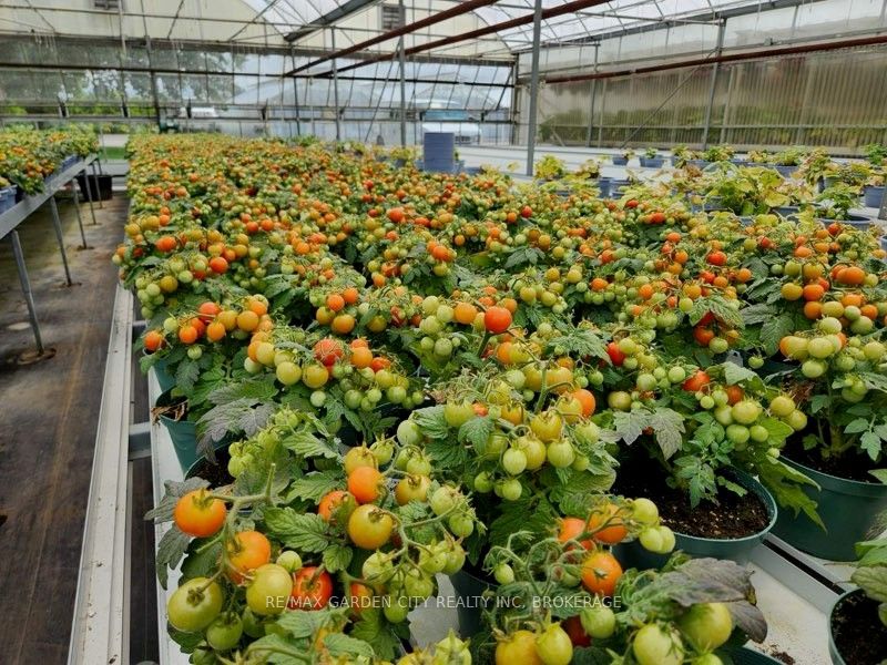 228-234 Read Road Property Photo 7