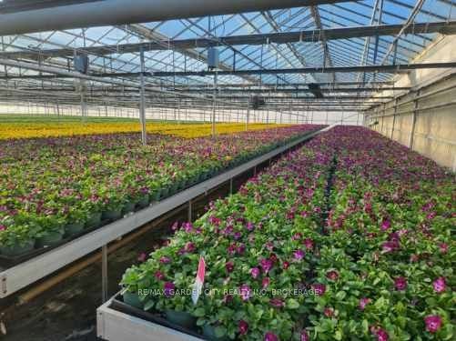 228-234 Read Road Property Photo 8