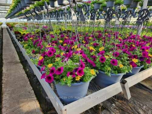 228-234 Read Road Property Photo 9