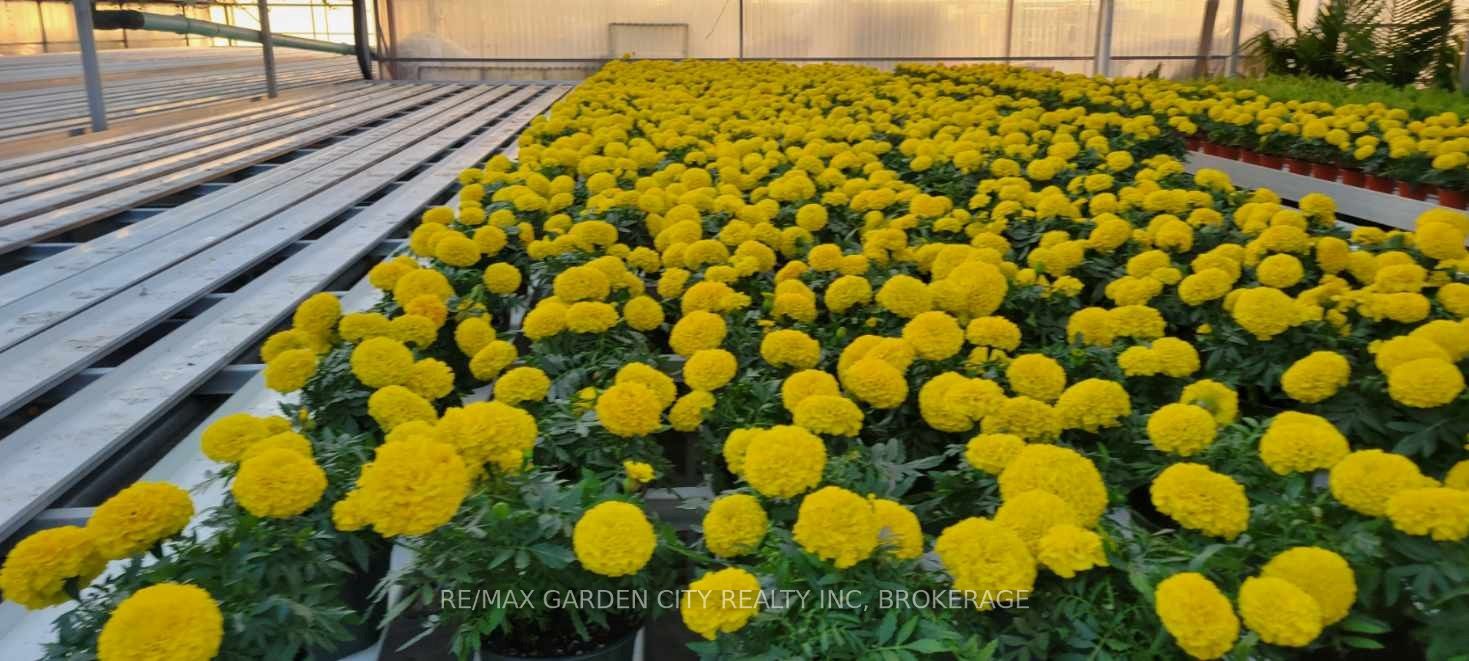 228-234 Read Road Property Photo 10