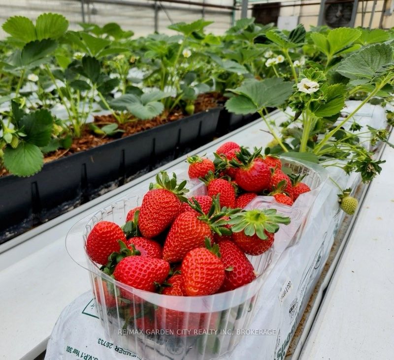 228-234 Read Road Property Photo 11