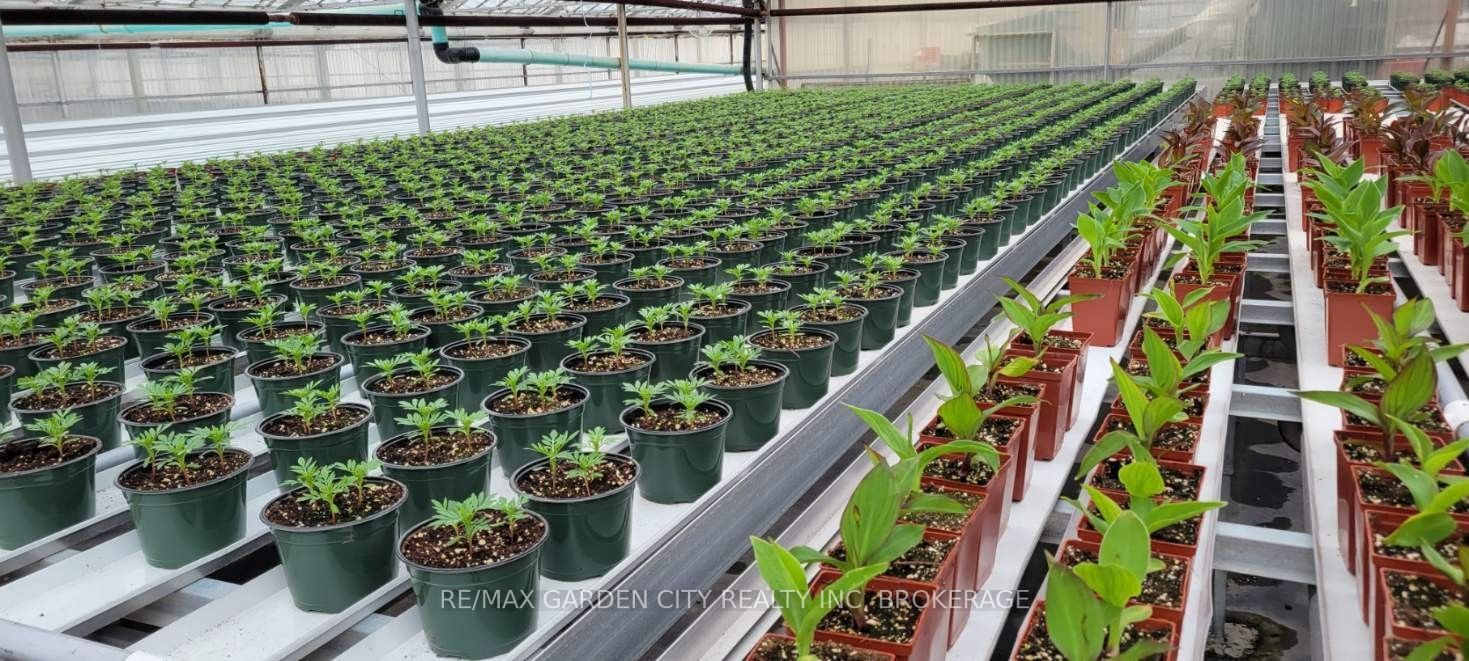 228-234 Read Road Property Photo 12