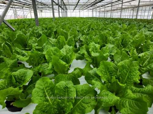 228-234 Read Road Property Photo 13