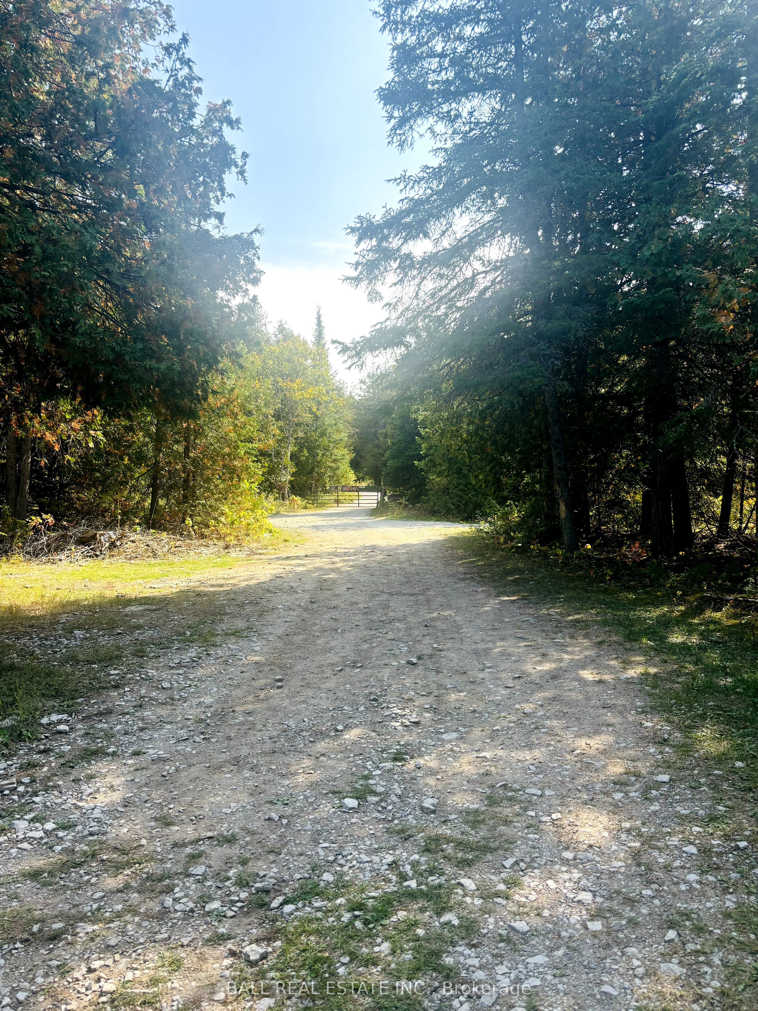 0 Pineview Court Property Photo 4