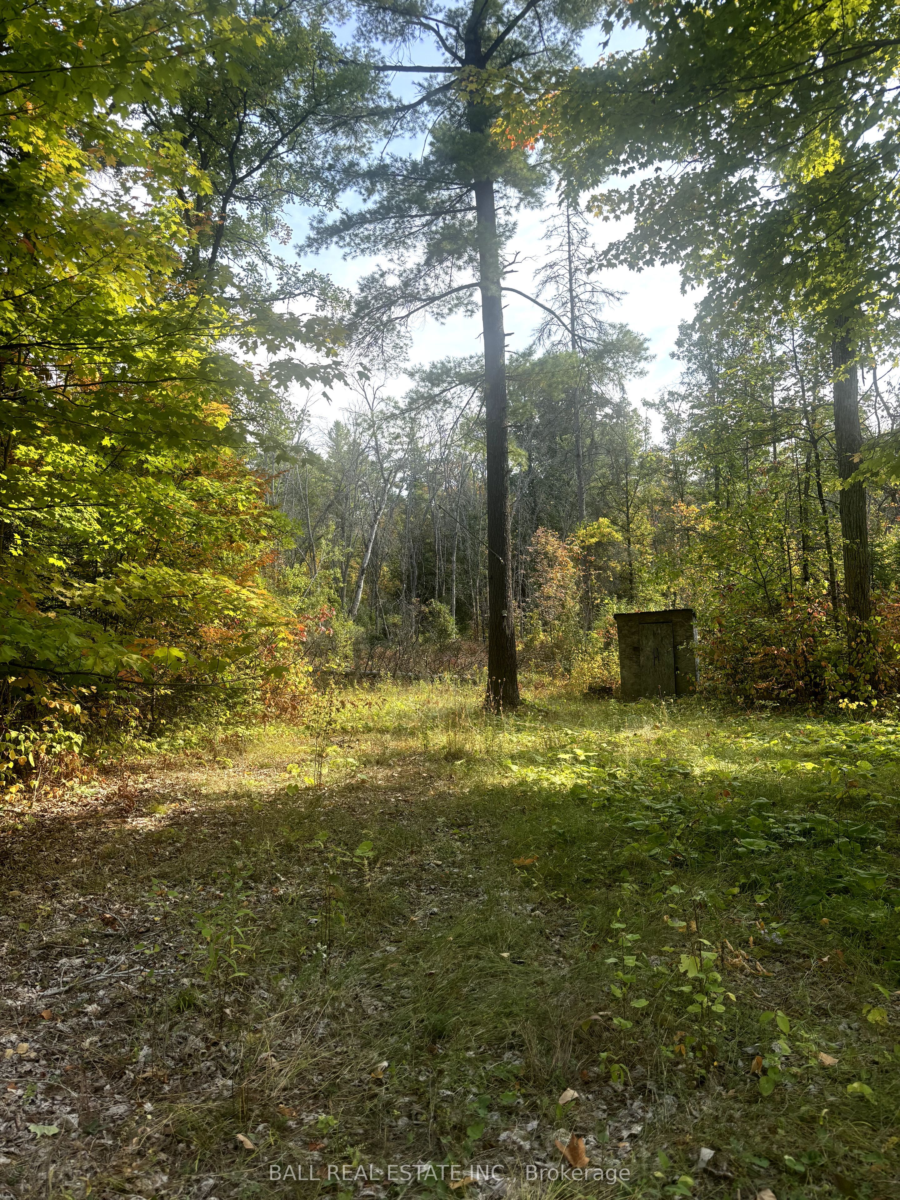 0 Pineview Court Property Photo 5