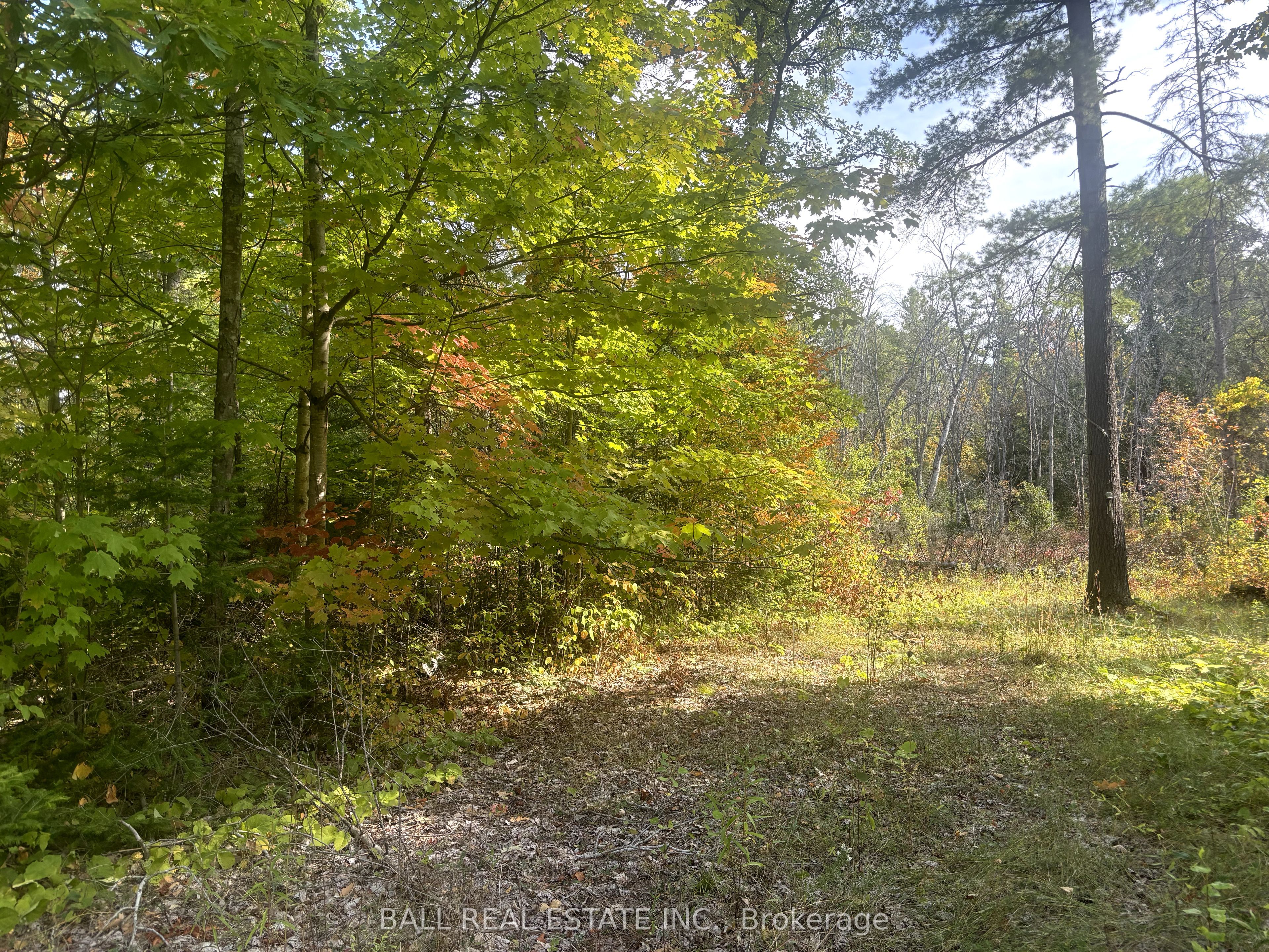 0 Pineview Court Property Photo 6