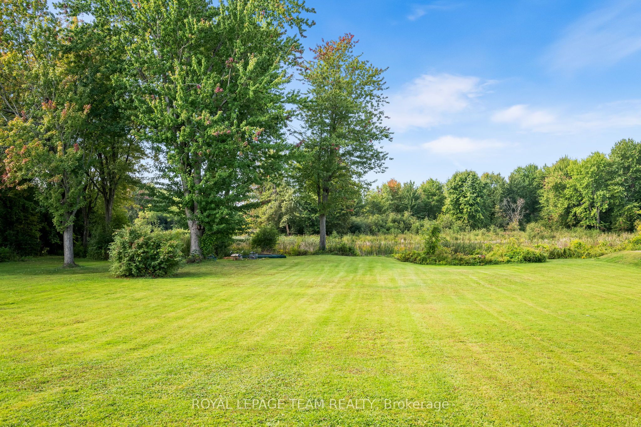 5 Rogers Road Property Photo 6