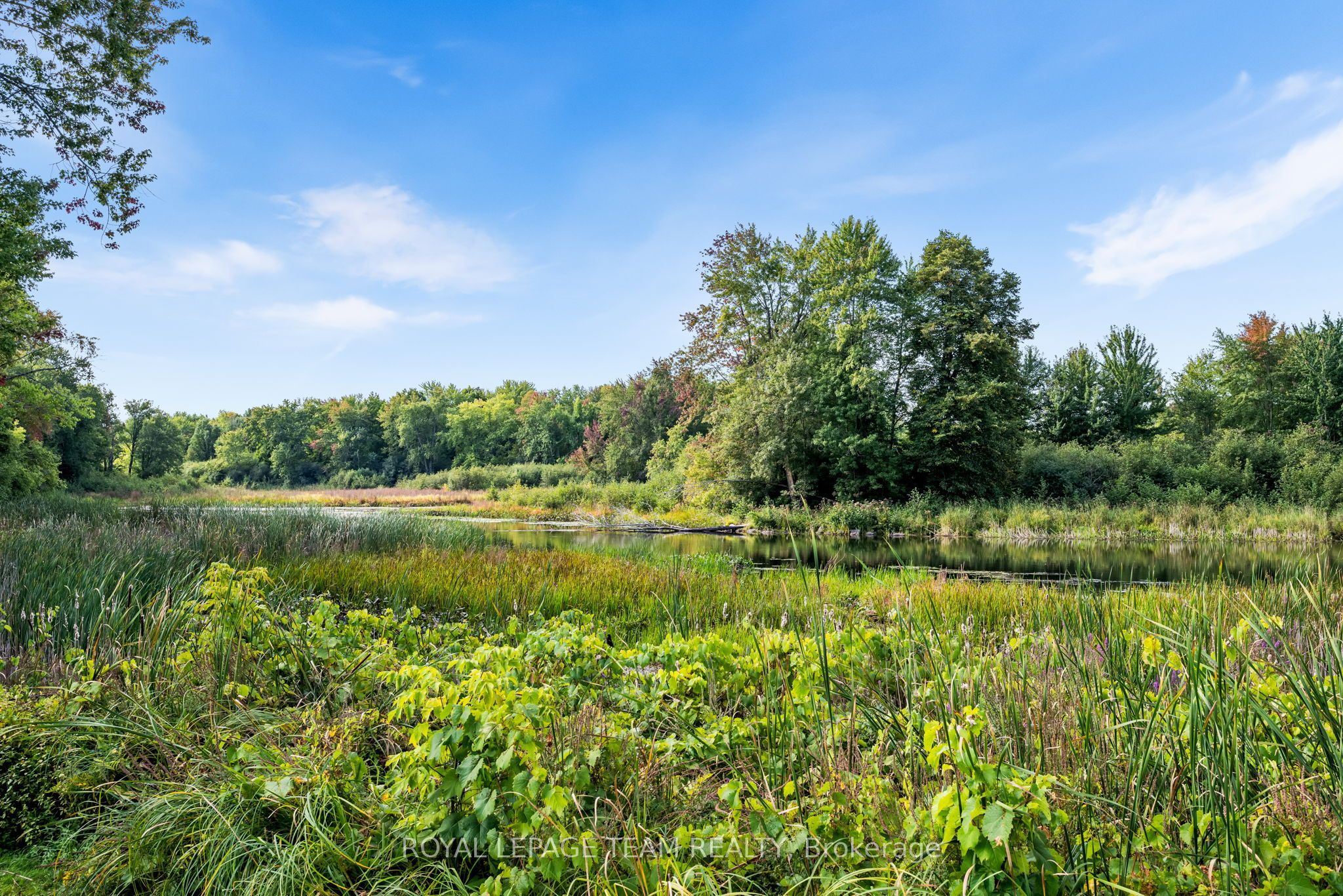 5 Rogers Road Property Photo 7