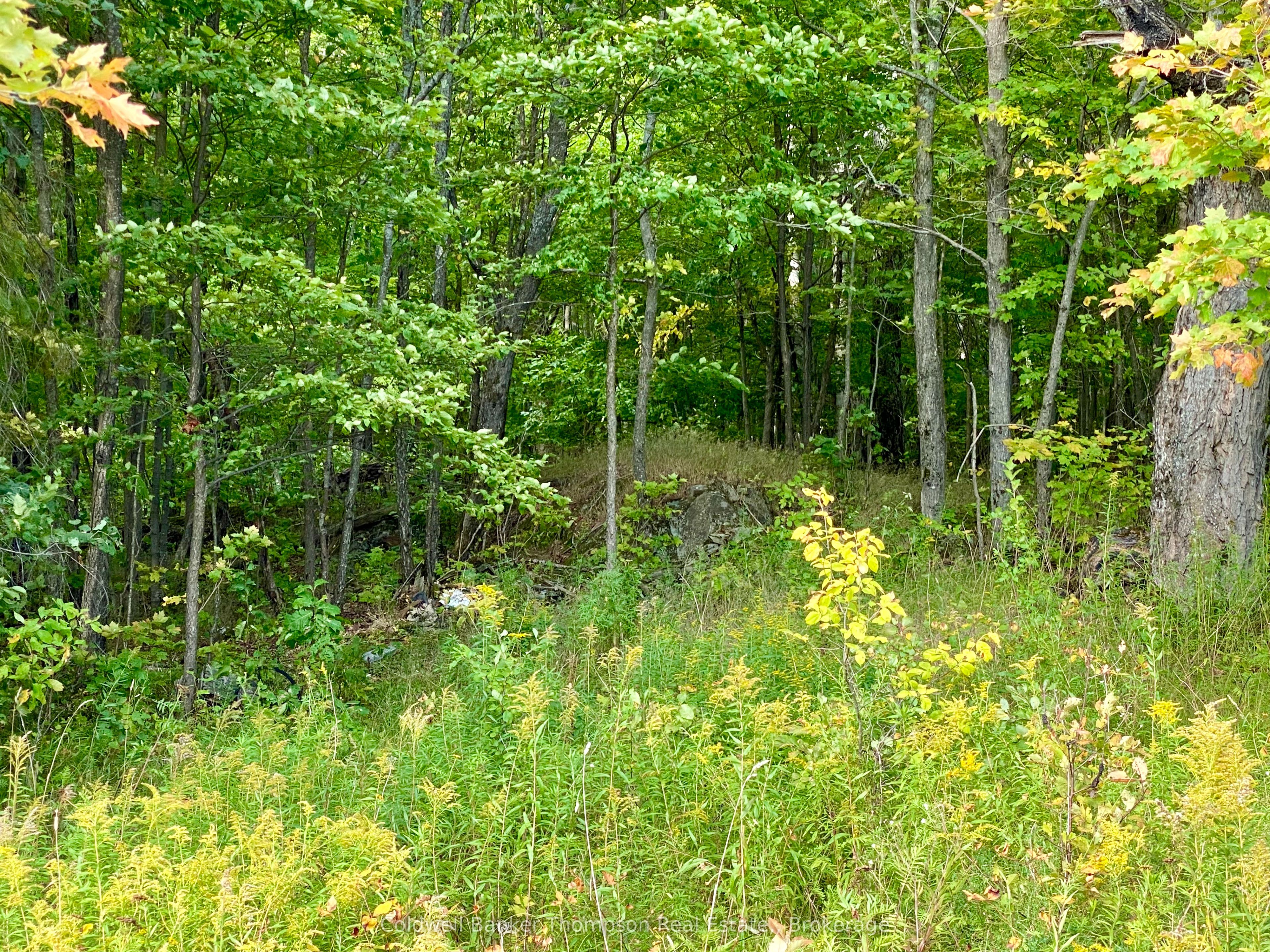 0 Clear Lake Road N Property Photo 3