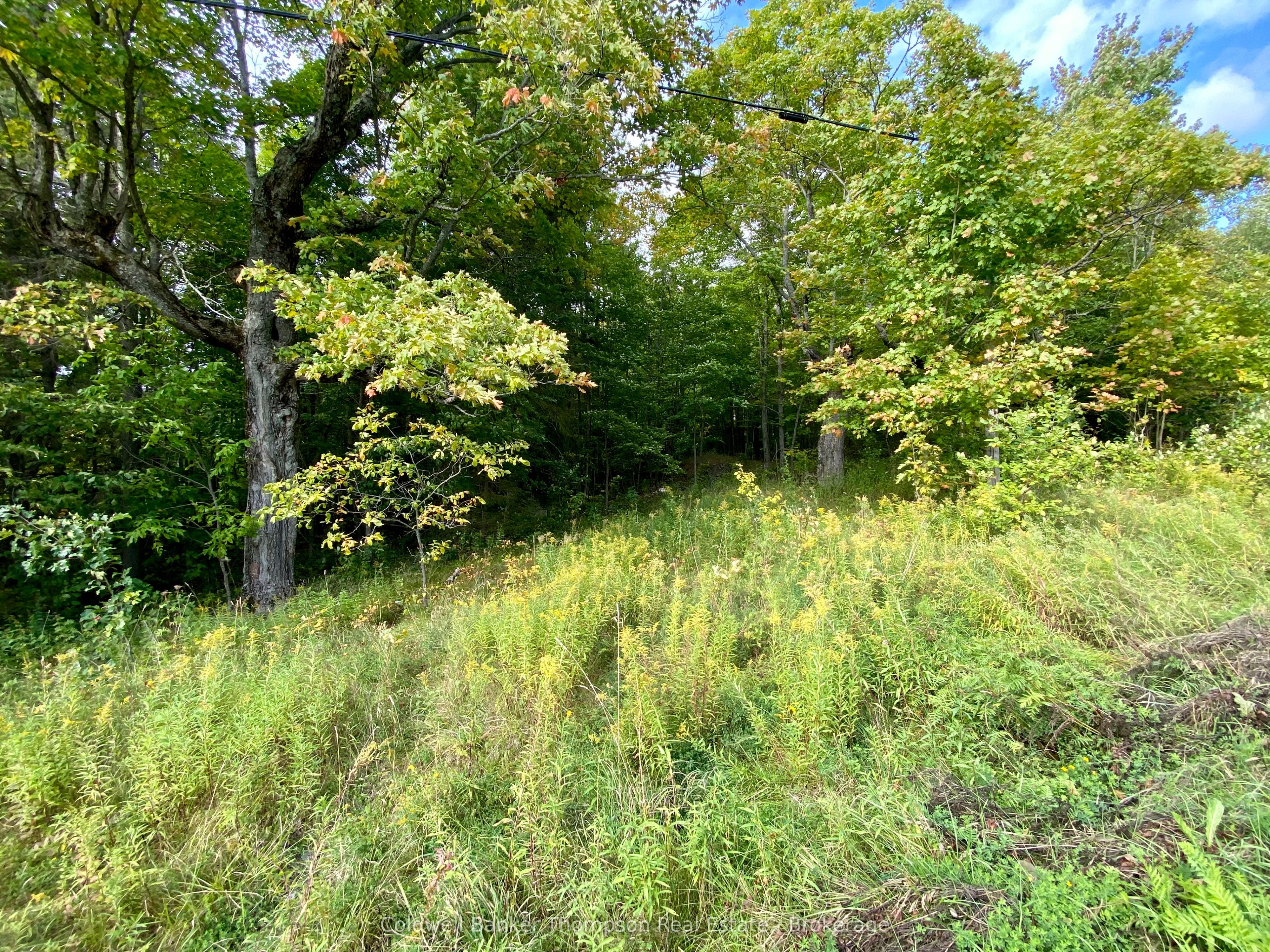 0 Clear Lake Road N Property Photo 4