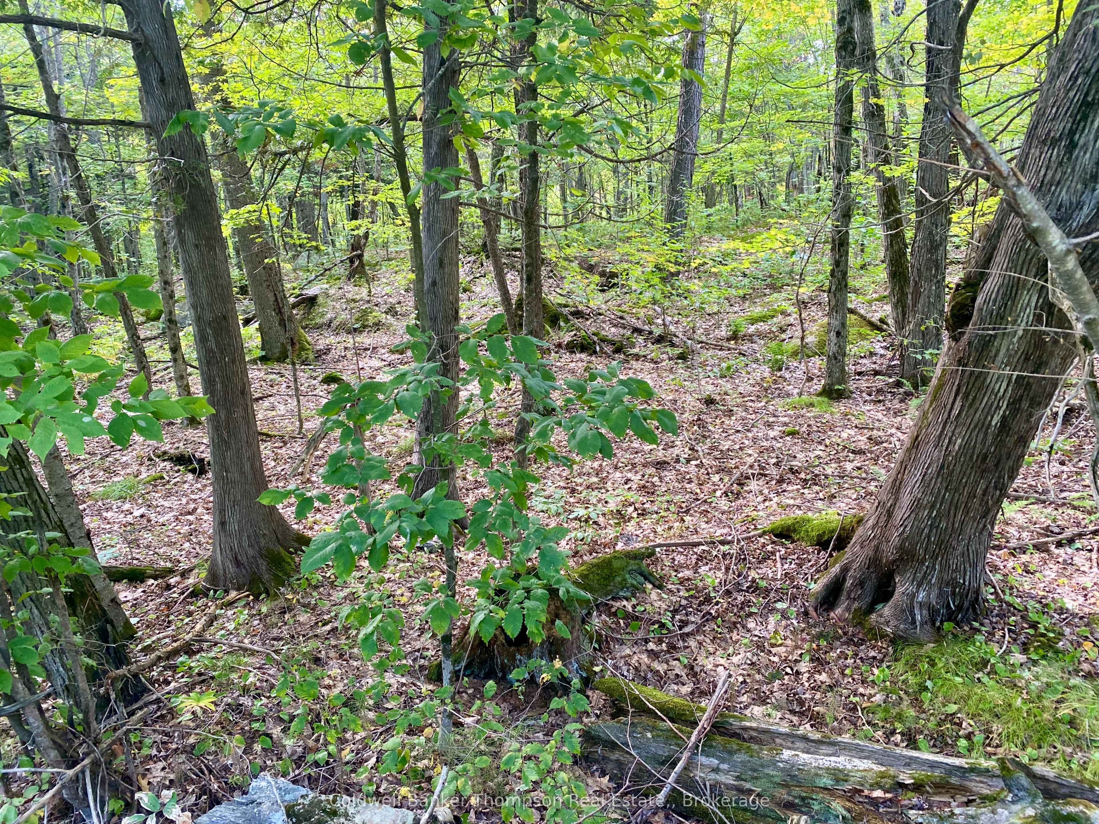 0 Clear Lake Road N Property Photo 5