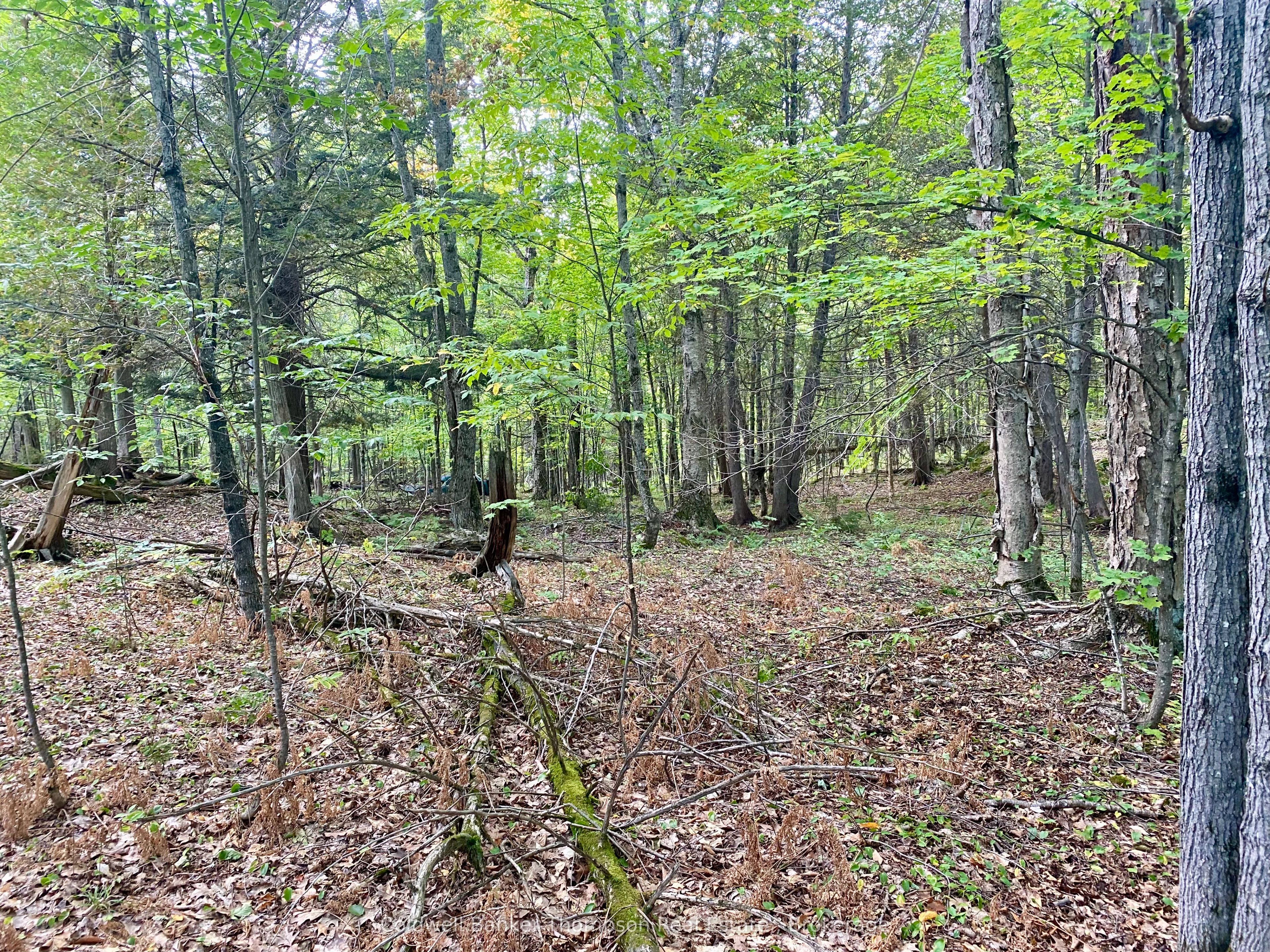 0 Clear Lake Road N Property Photo 6