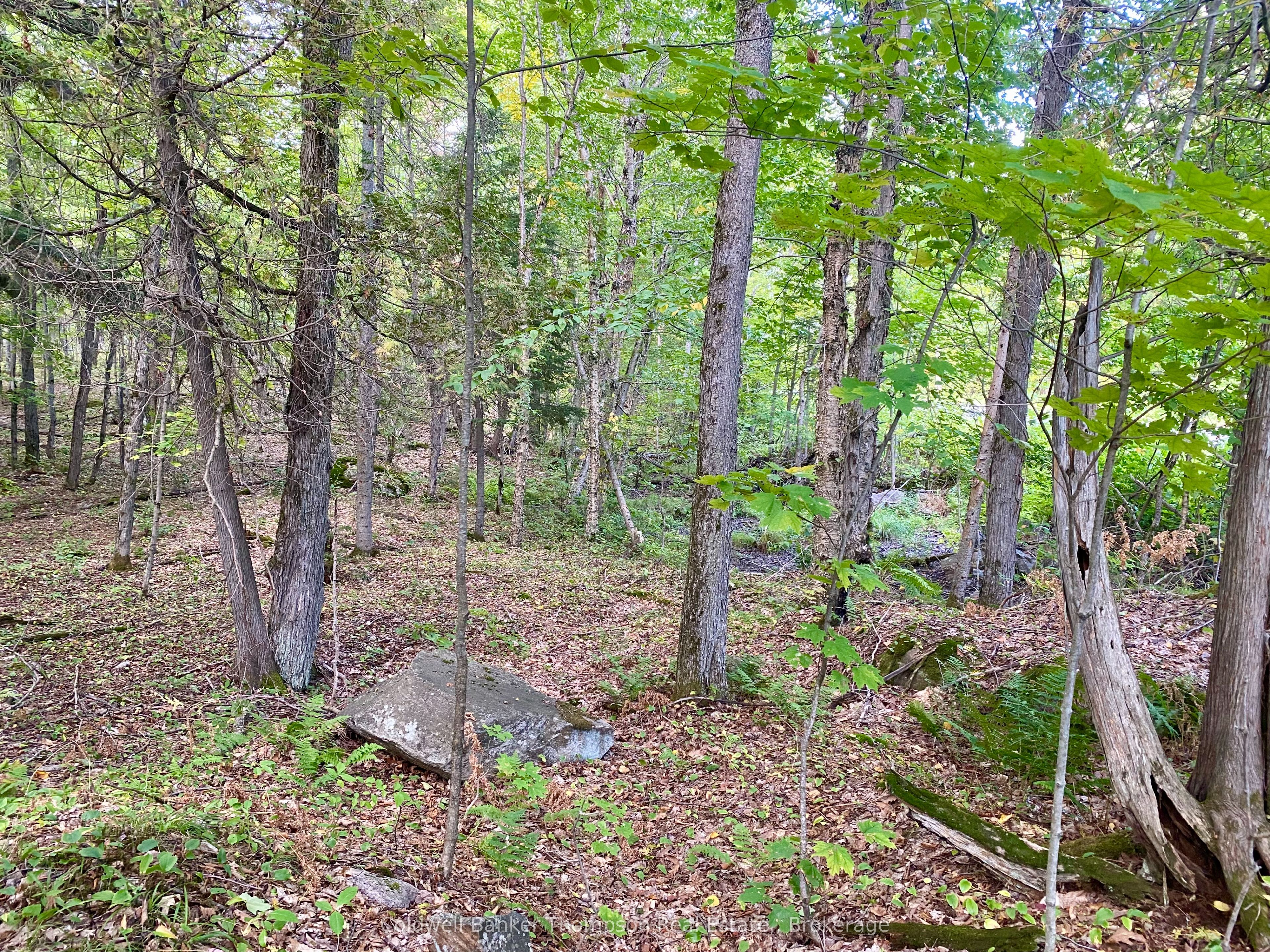 0 Clear Lake Road N Property Photo 7