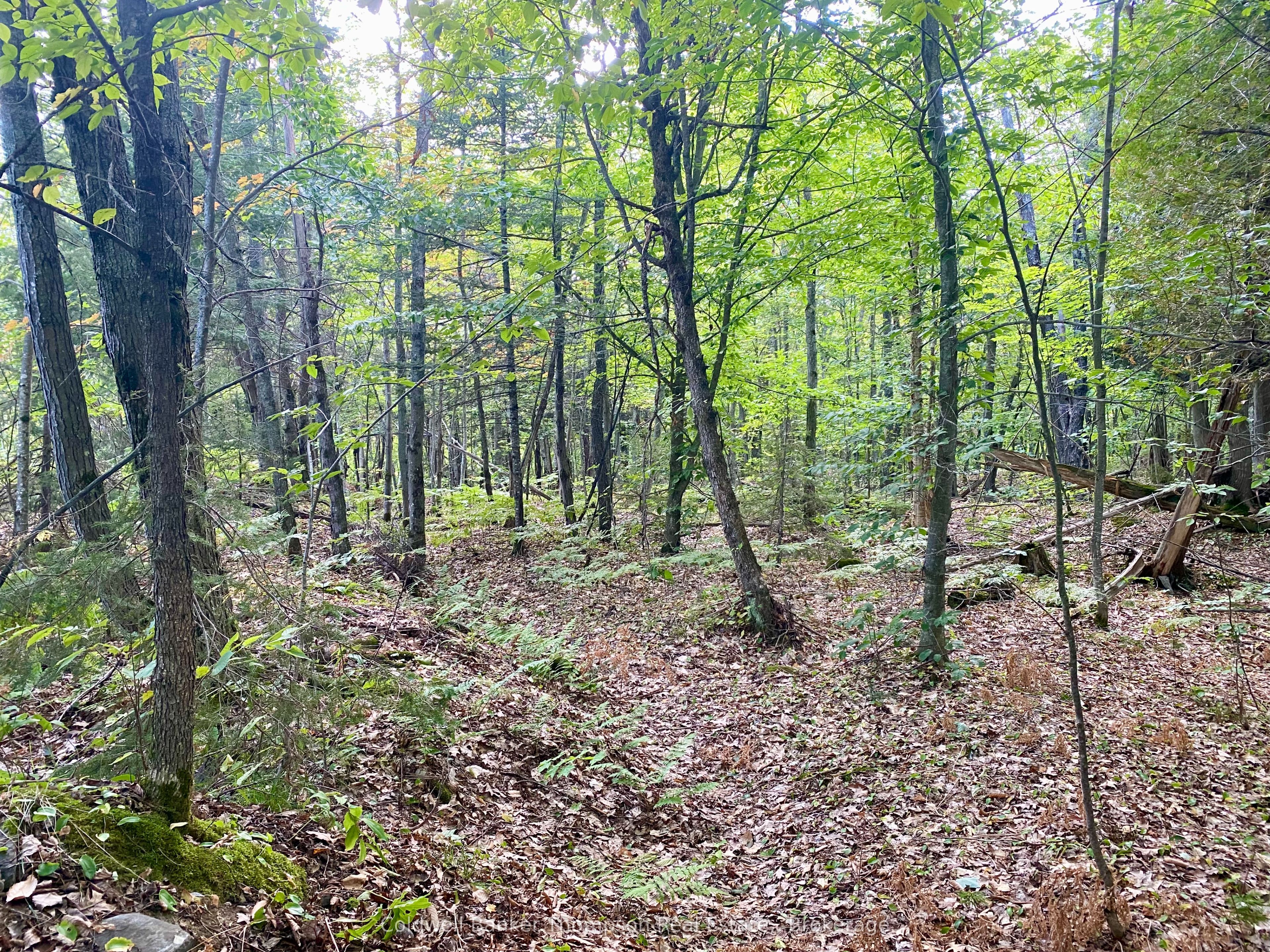 0 Clear Lake Road N Property Photo 8