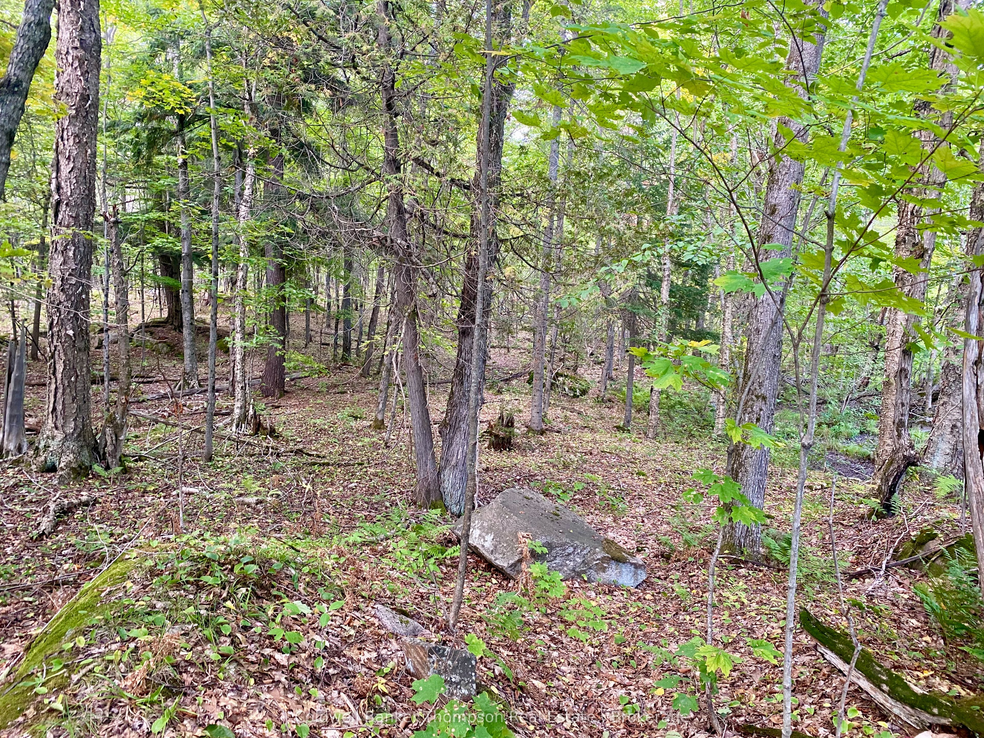 0 Clear Lake Road N Property Photo 9
