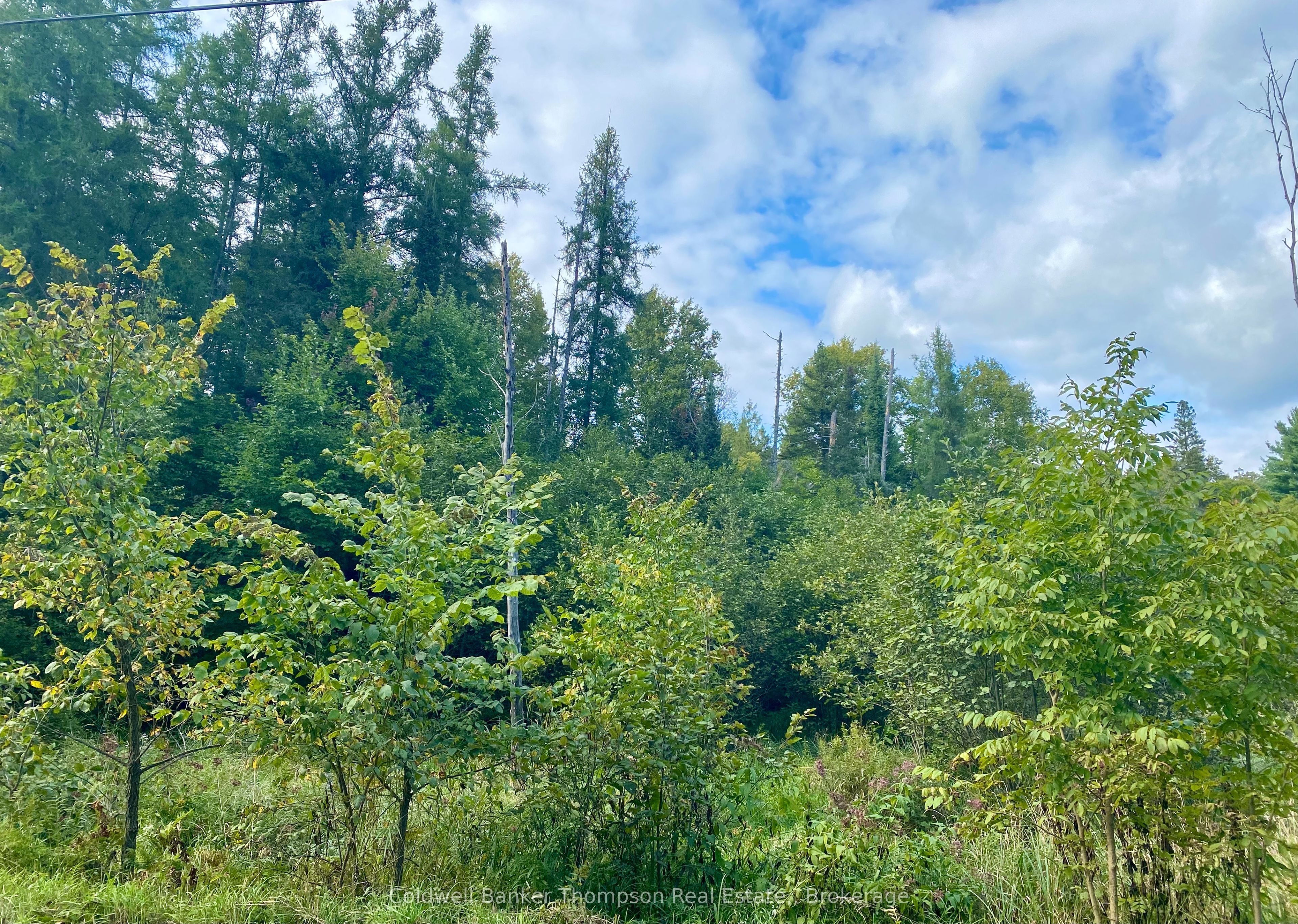 0 Clear Lake Road N Property Photo 10