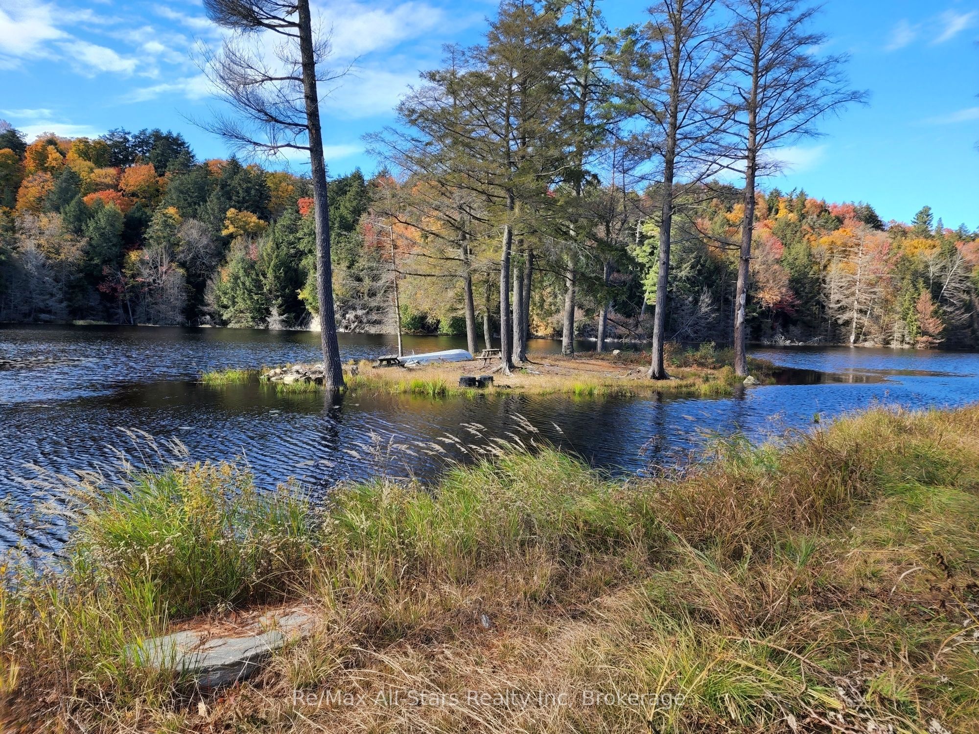 0 Harris Road Property Photo 12