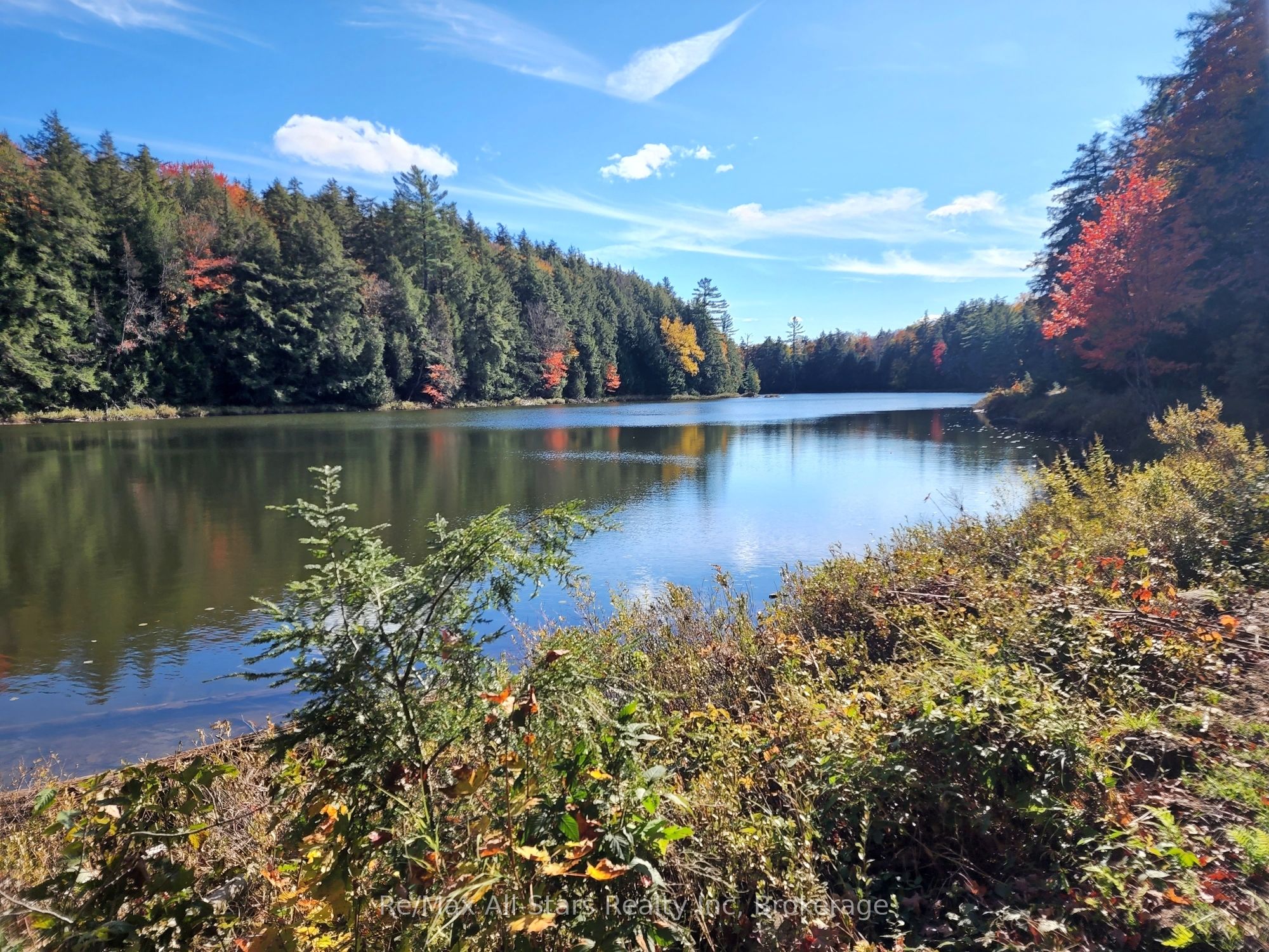 0 Harris Road Property Photo 17