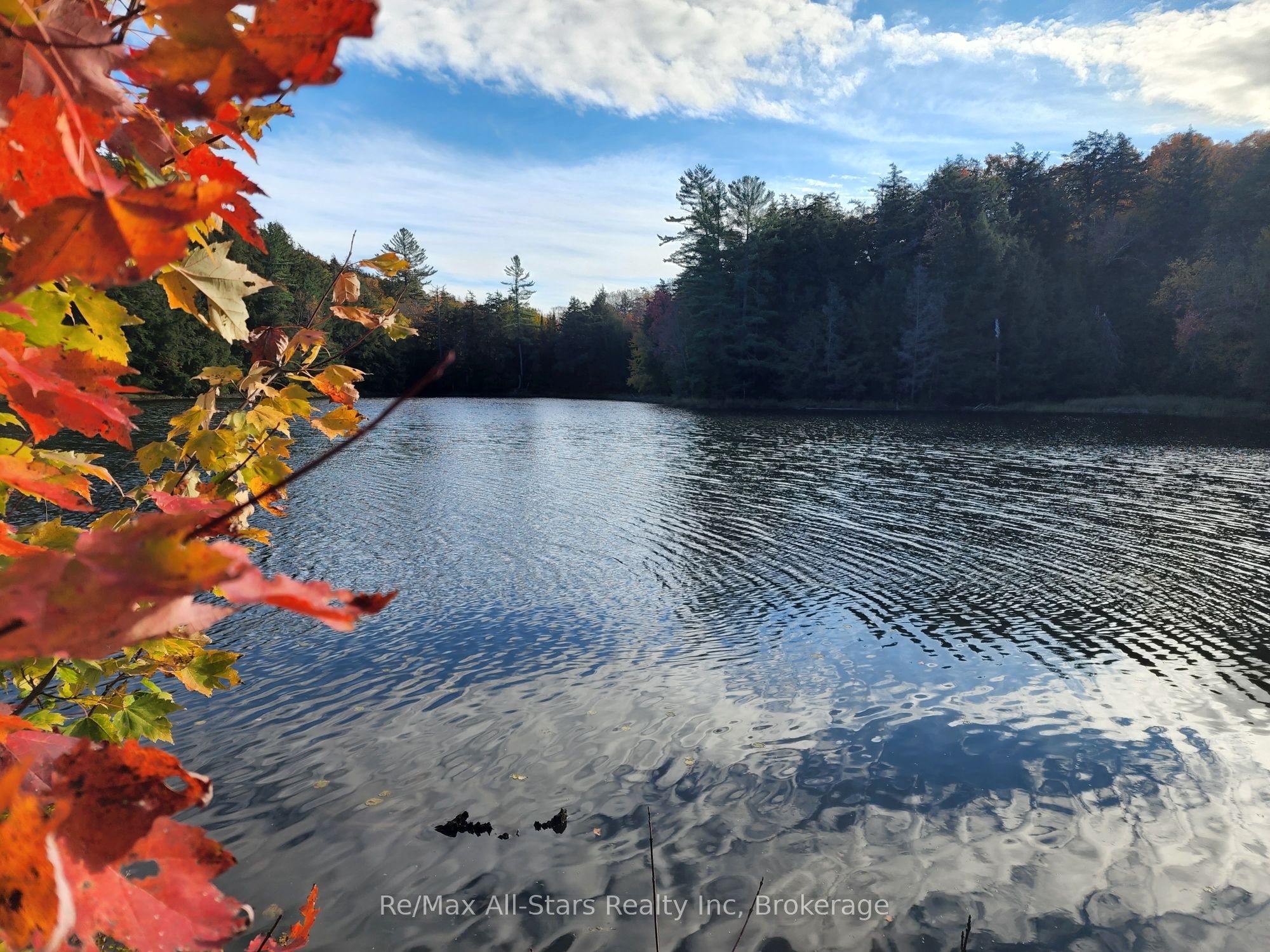 0 Harris Road Property Photo 19