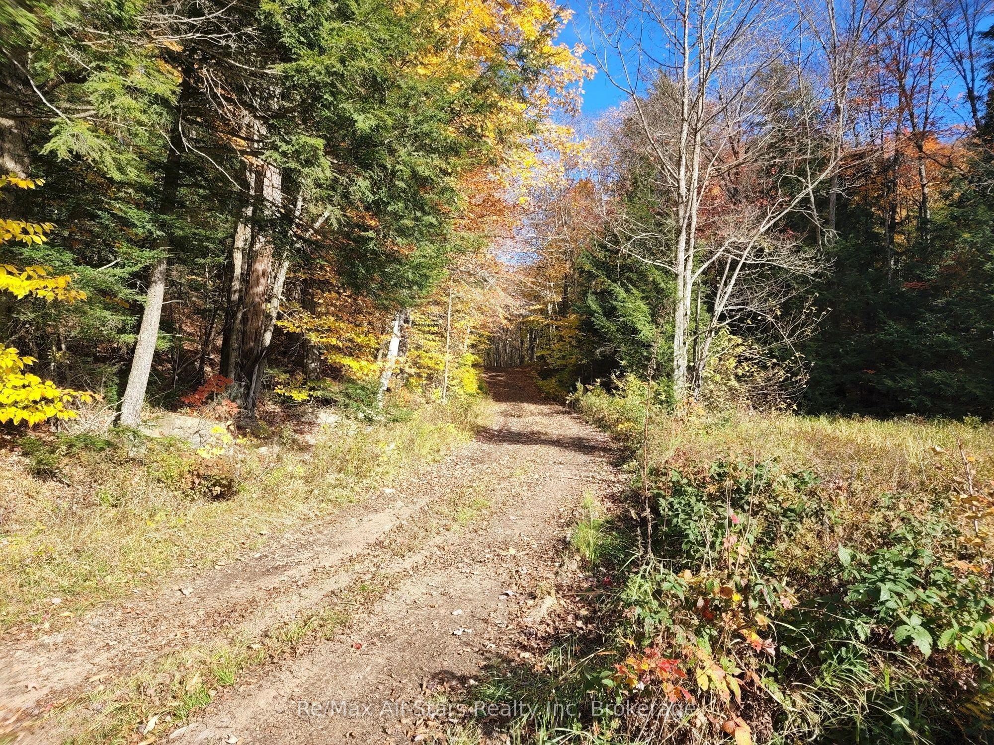 0 Harris Road Property Photo 20