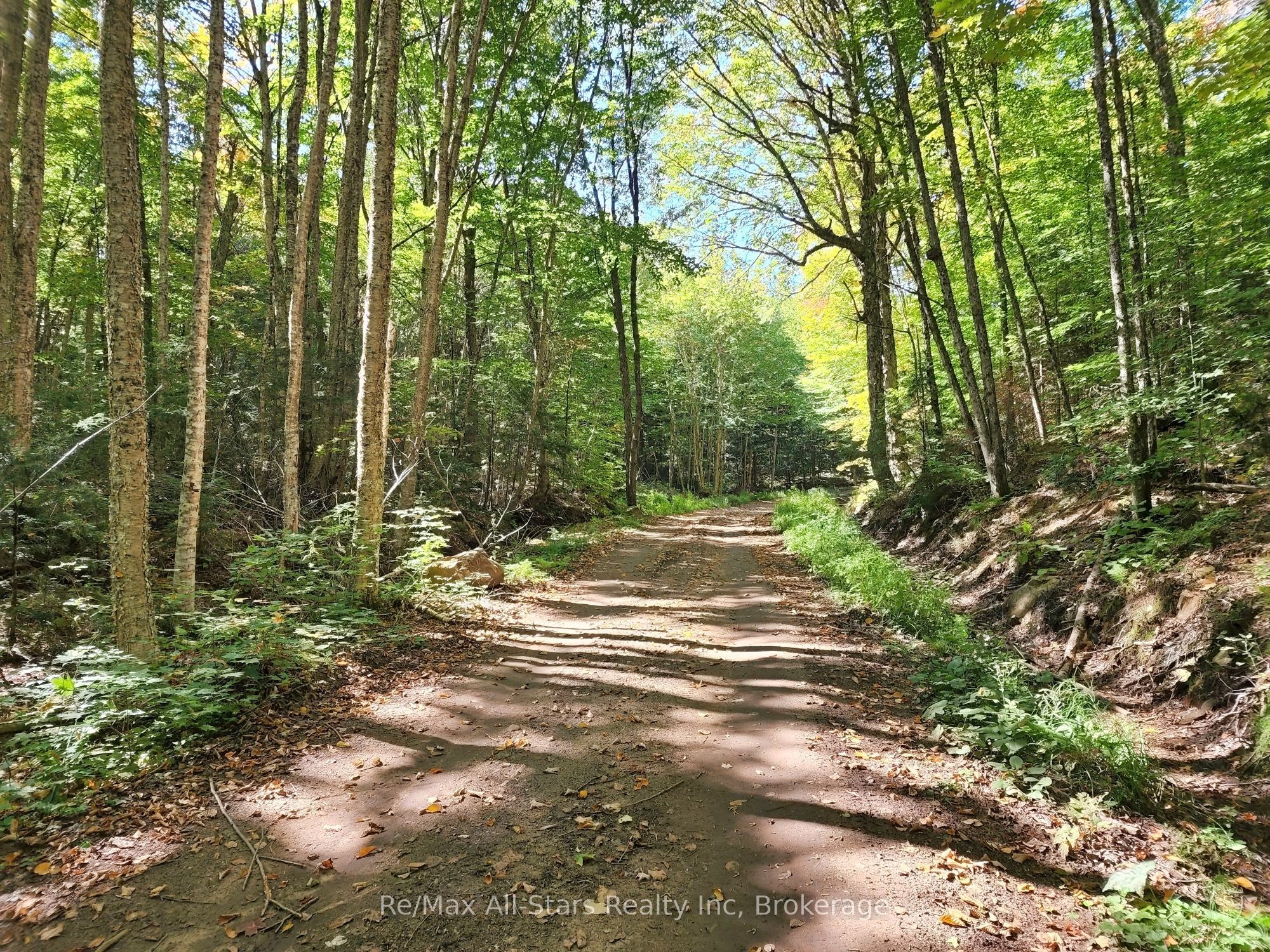 0 Harris Road Property Photo 21