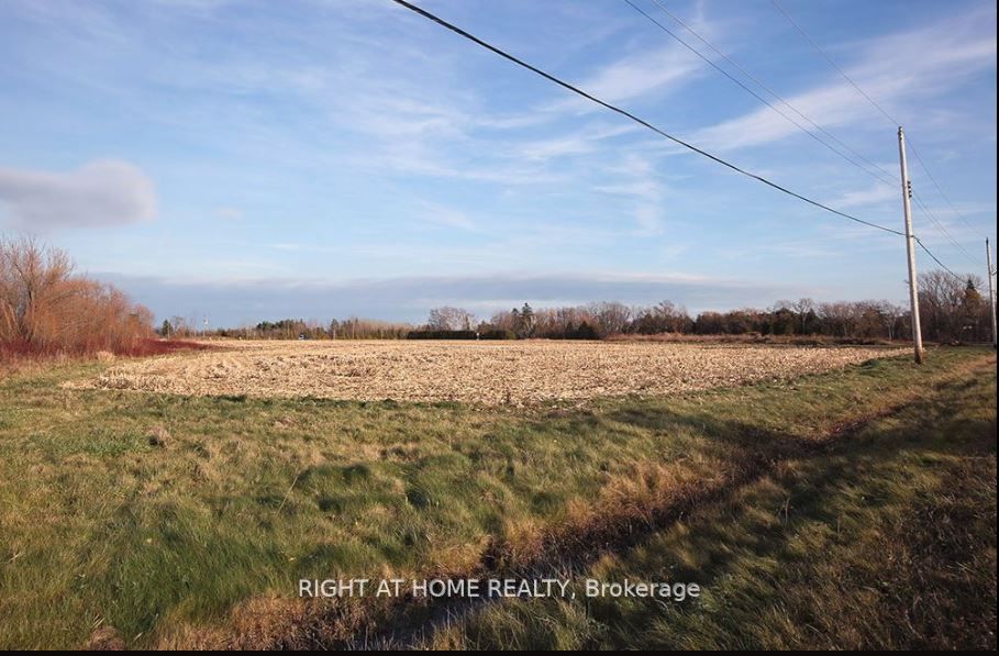 N/a Arthur Street W Property Photo 6