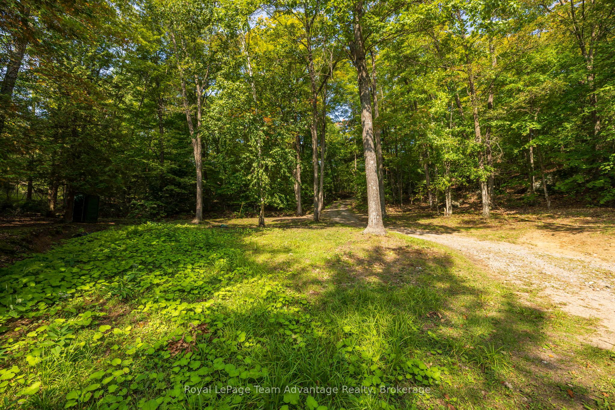 11 Veronica Gene Lane Property Photo 20