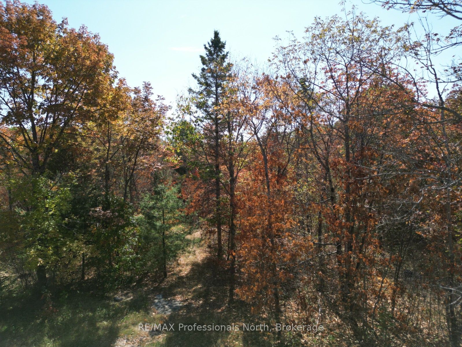 Pt Lt 35 Con 7 Glamor Lake Road Property Photo 1