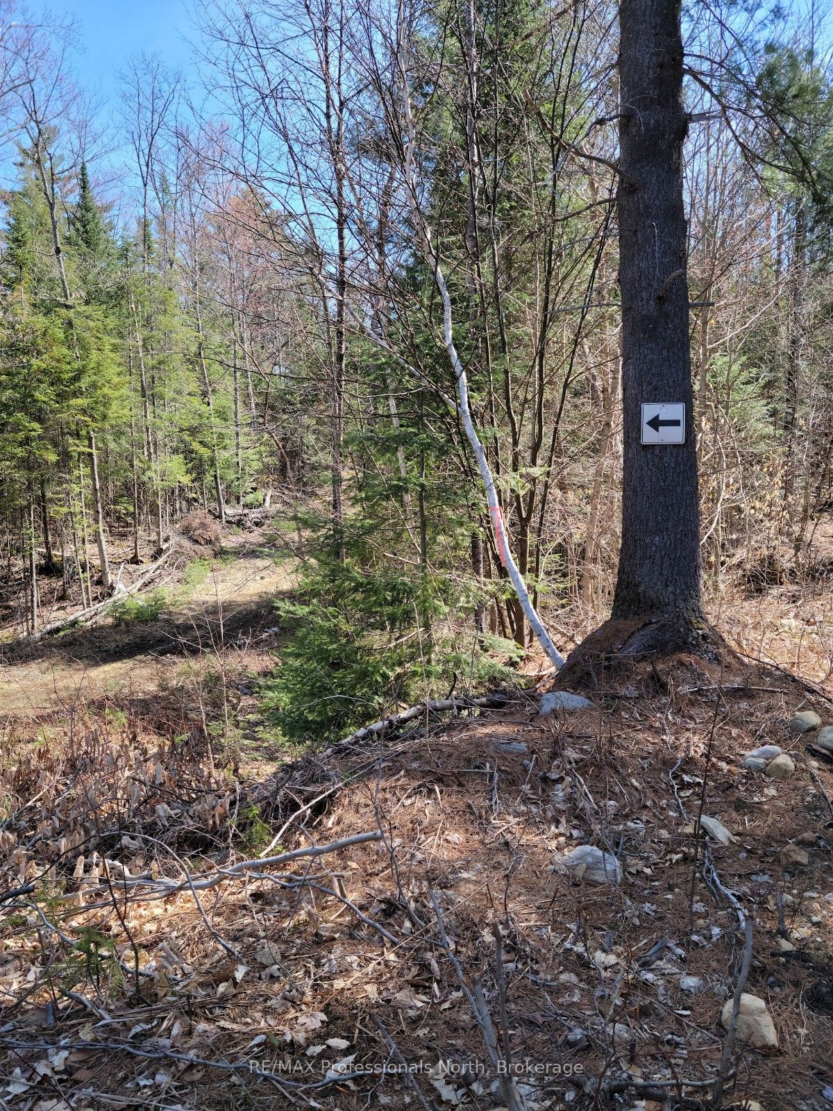 Lot 32 Concession 11 N/a Property Photo 5