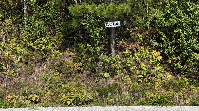 Lot 4 Fox Run Drive Property Photo 1