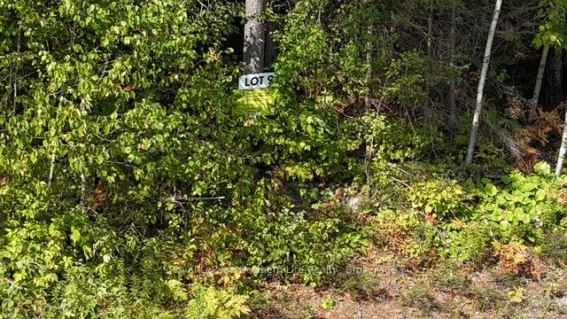 Lot 9 Fox Run Drive Property Photo 1