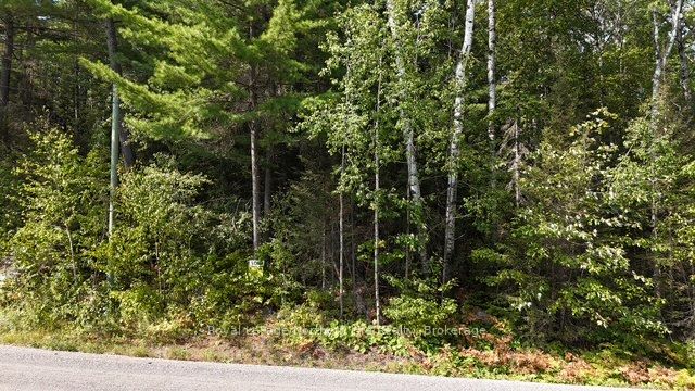 Lot 9 Fox Run Drive Property Photo 2