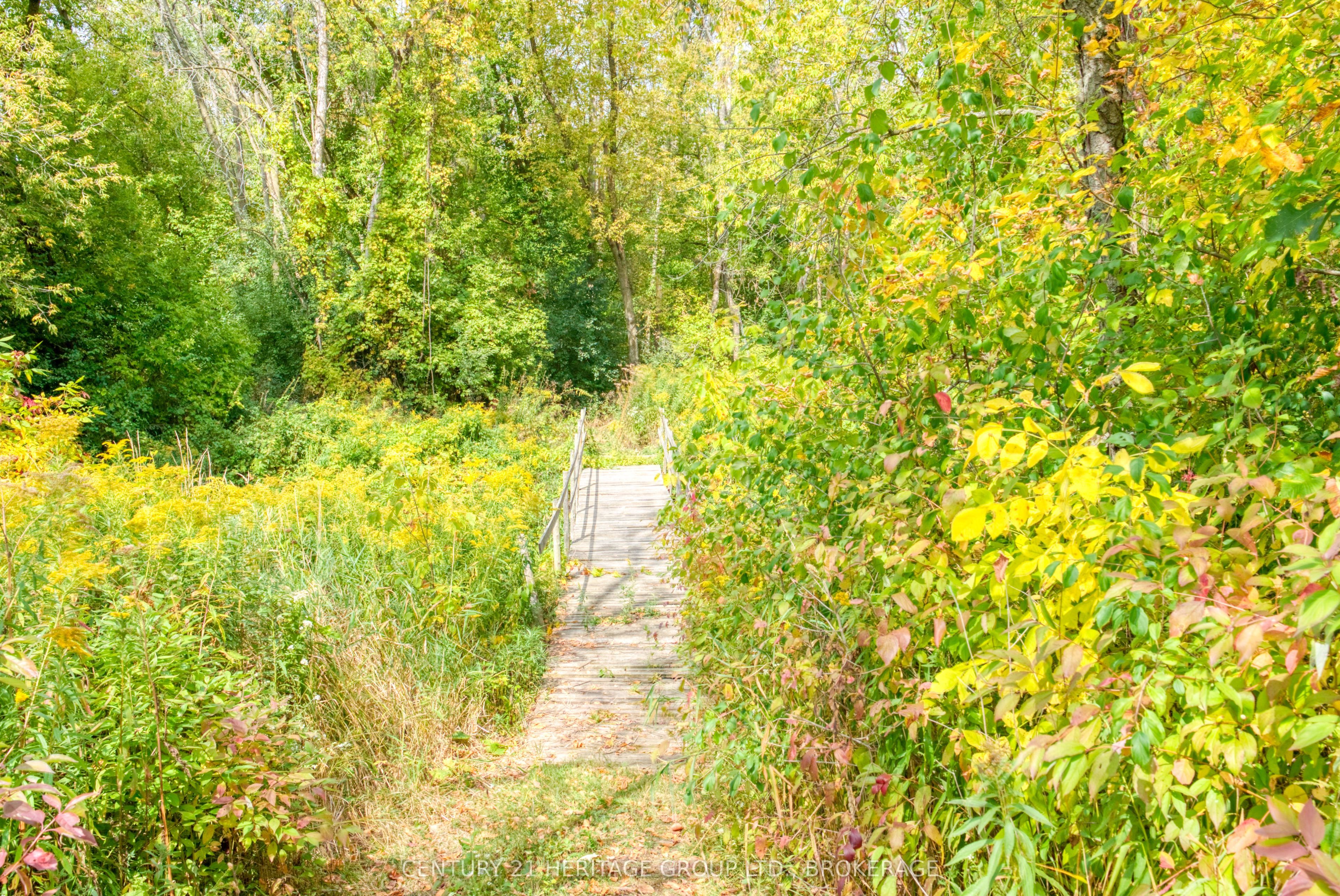 6913 County 2 Road Property Photo 42