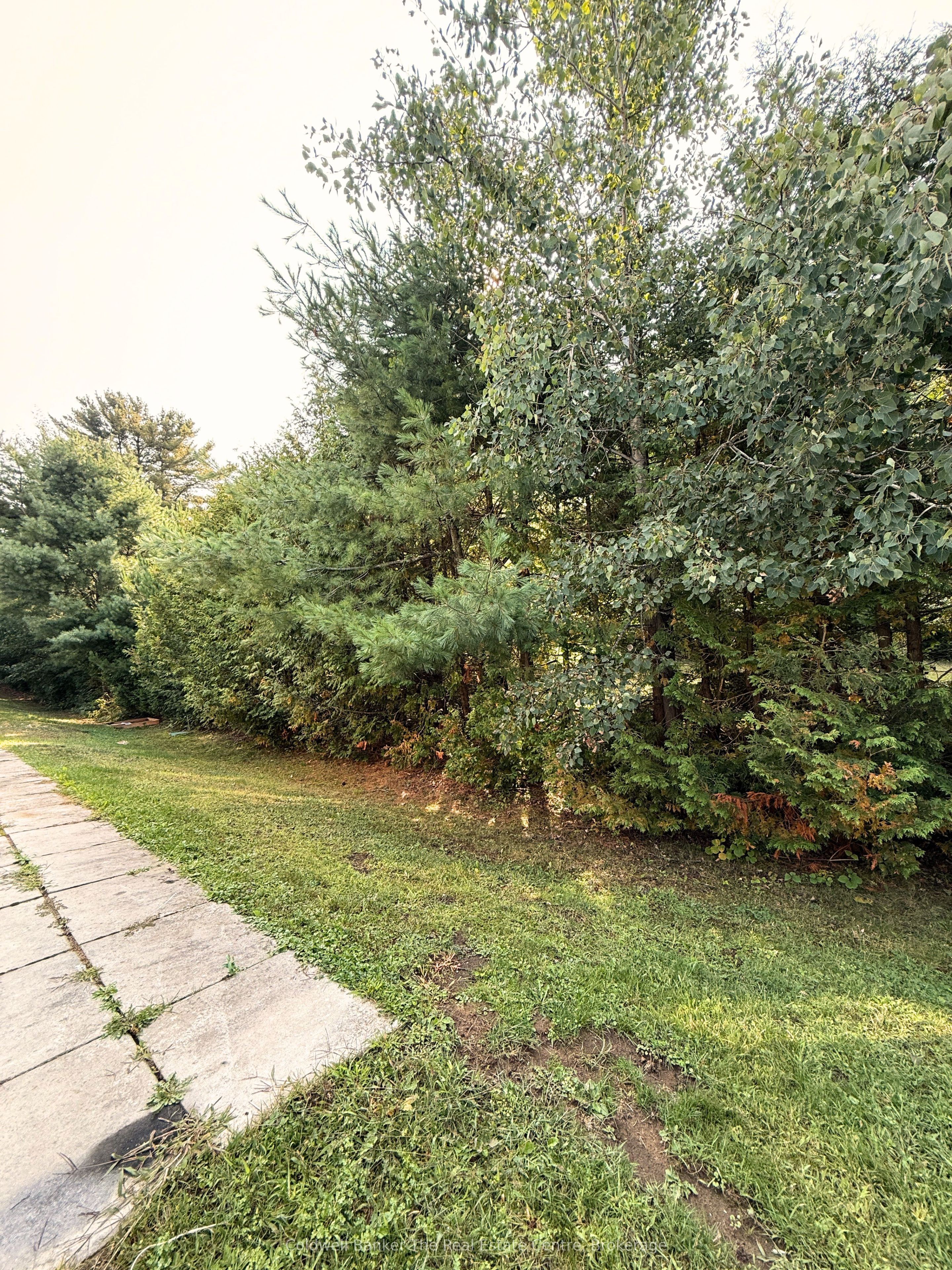 200 Pine Street 45 Property Photo 14