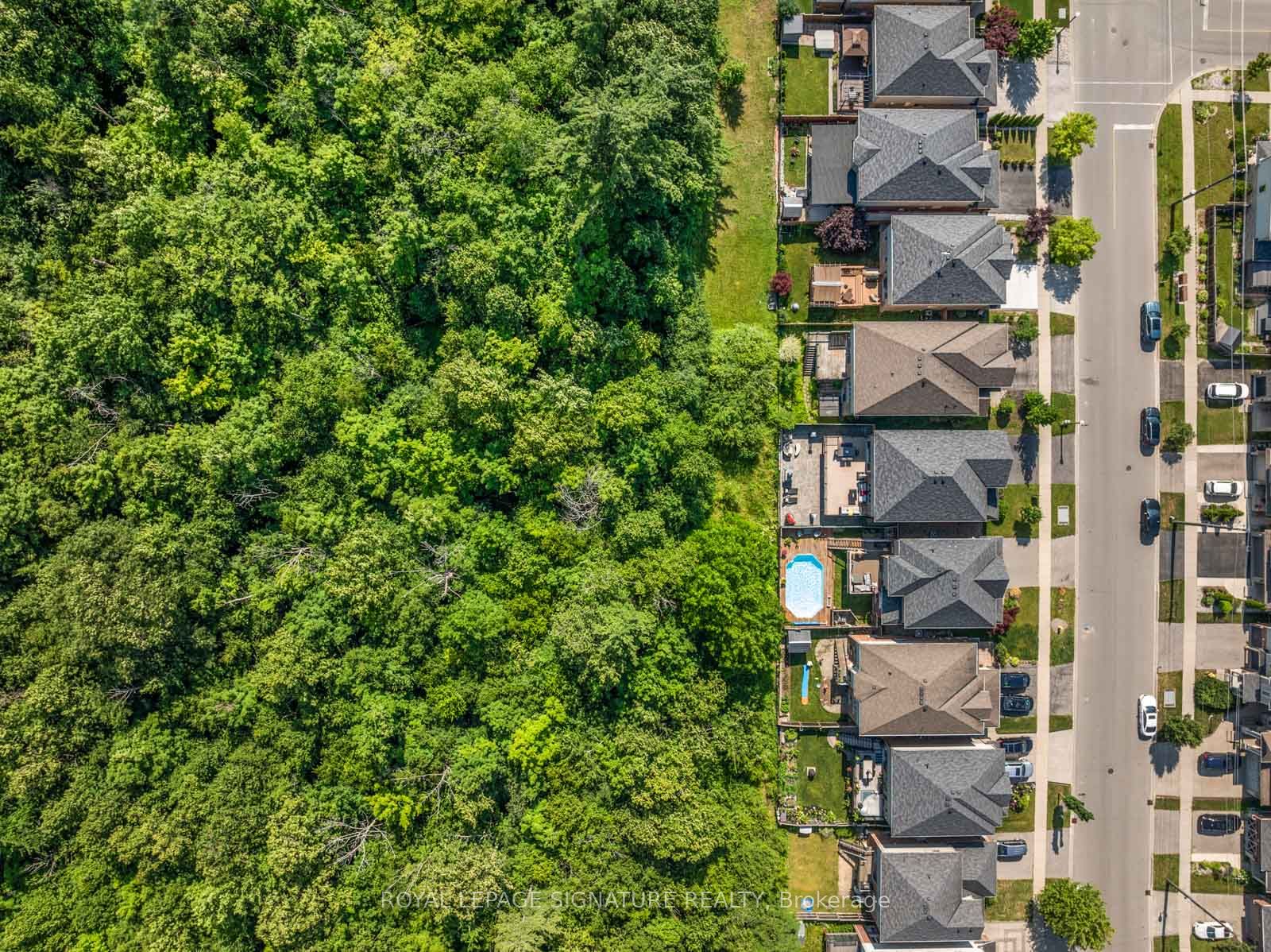 704 Robert Ferrie Drive Property Photo 45