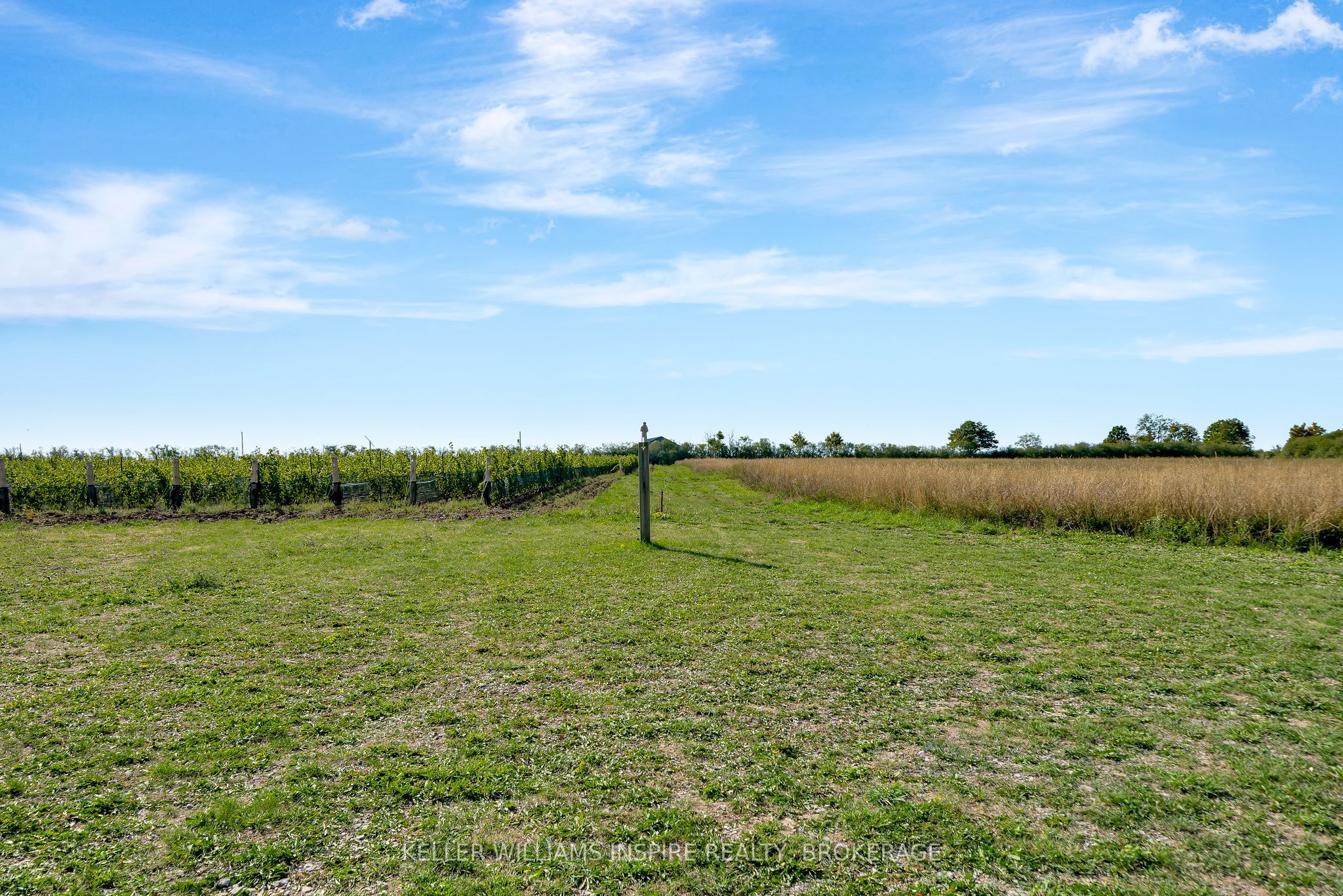 18055 Loyalist Parkway Property Photo 21
