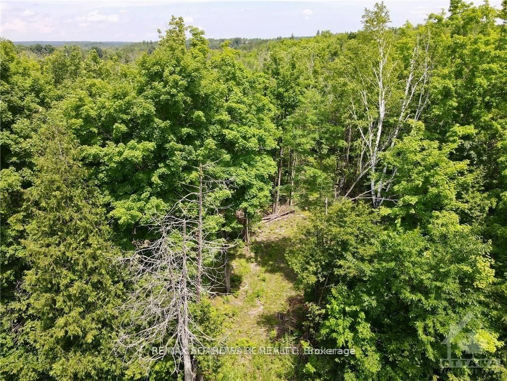 1375 Sheridan Rapids Road Property Photo 5