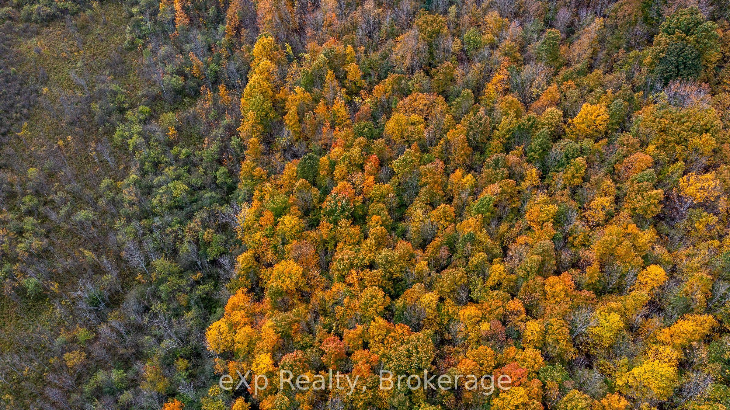 084482 6 Side Road Property Photo 7