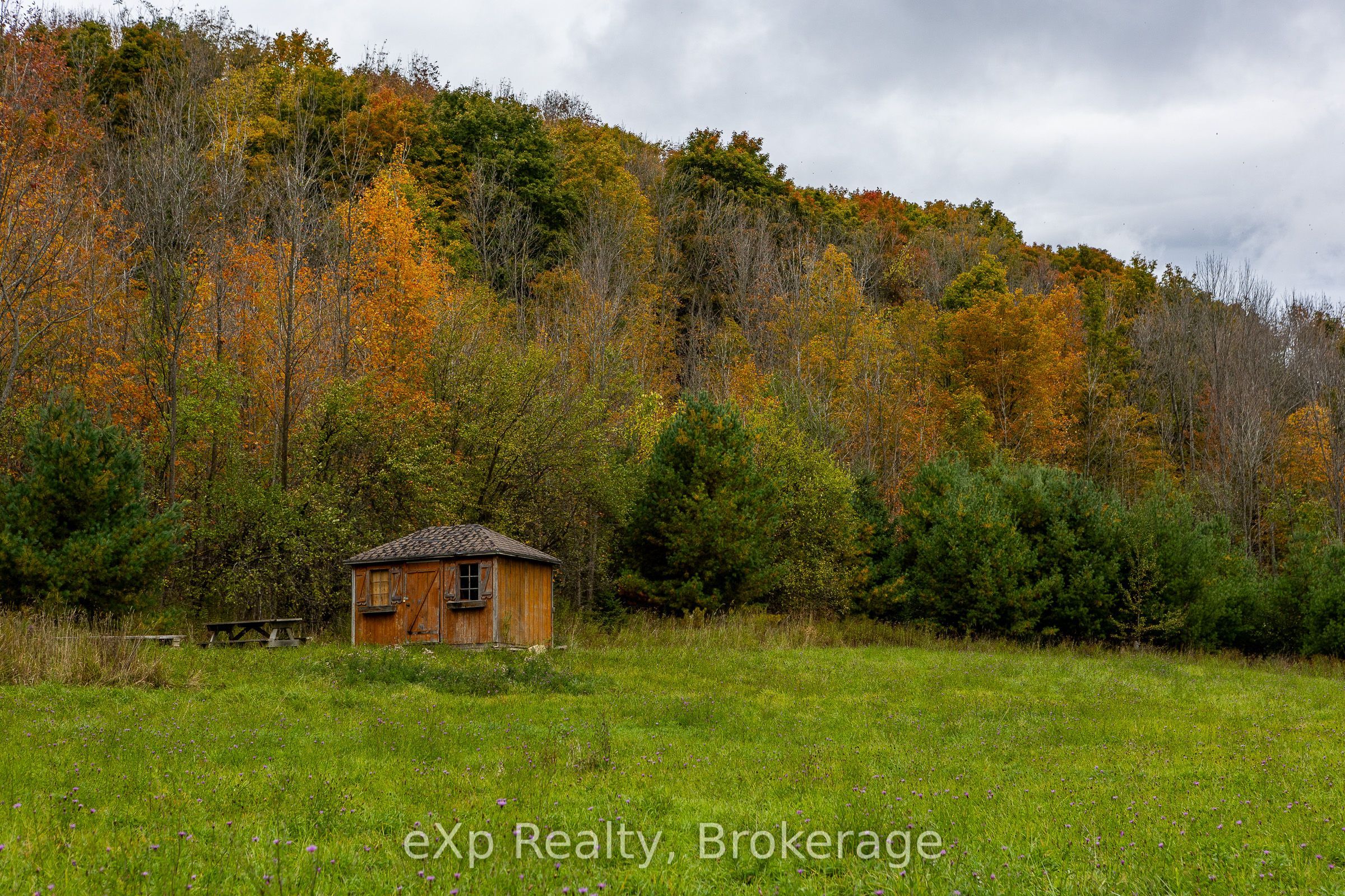 084482 6 Side Road Property Photo 16