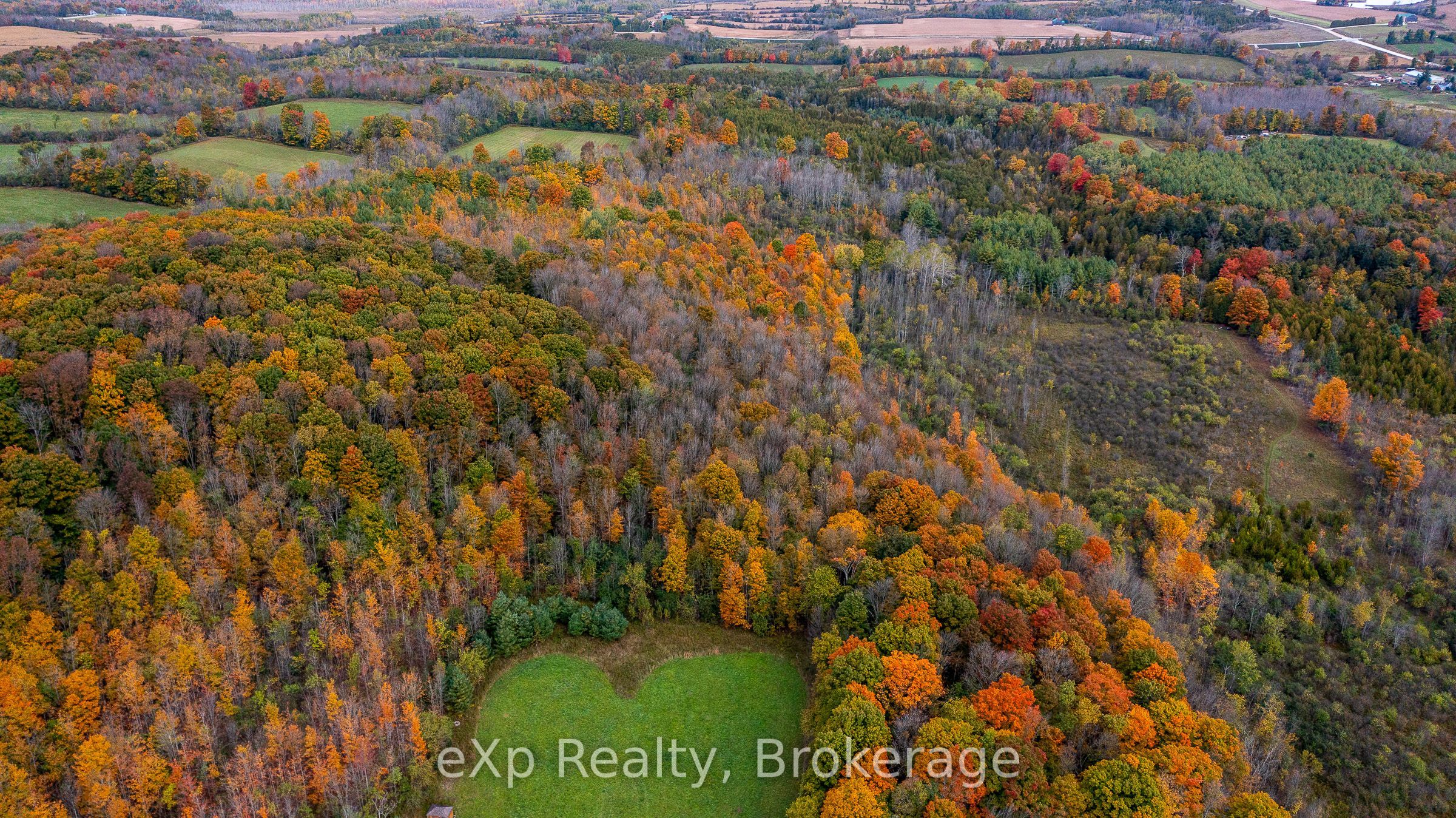 084482 6 Side Road Property Photo 19