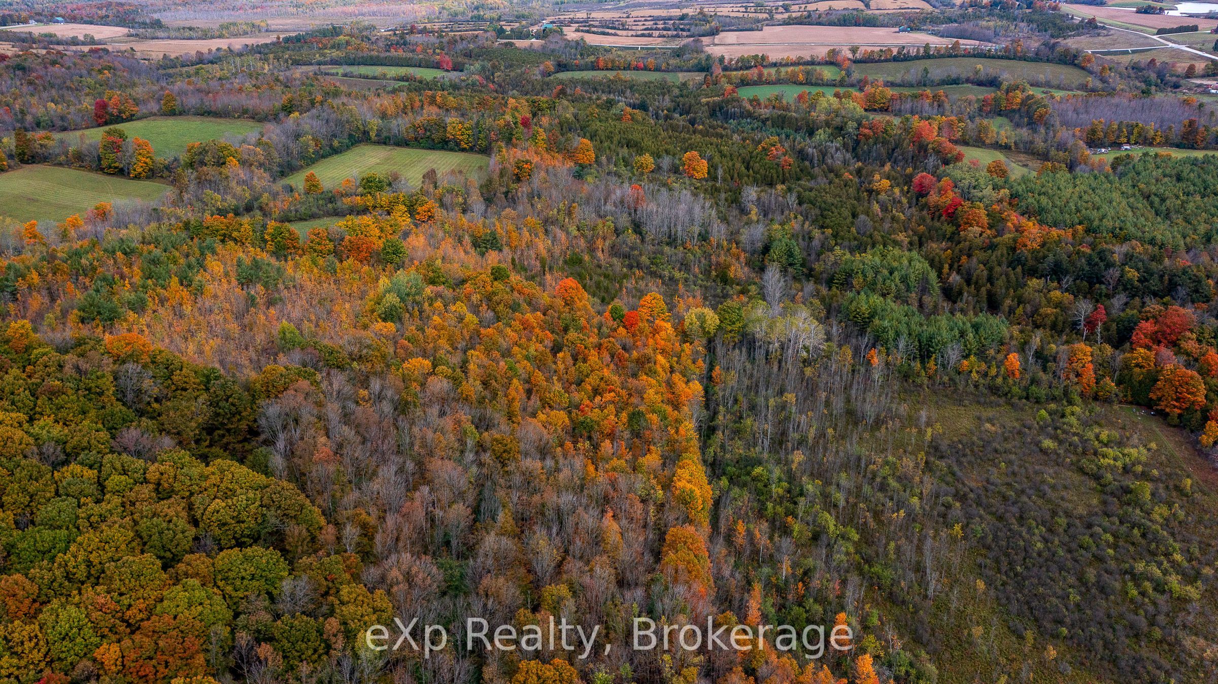 084482 6 Side Road Property Photo 20