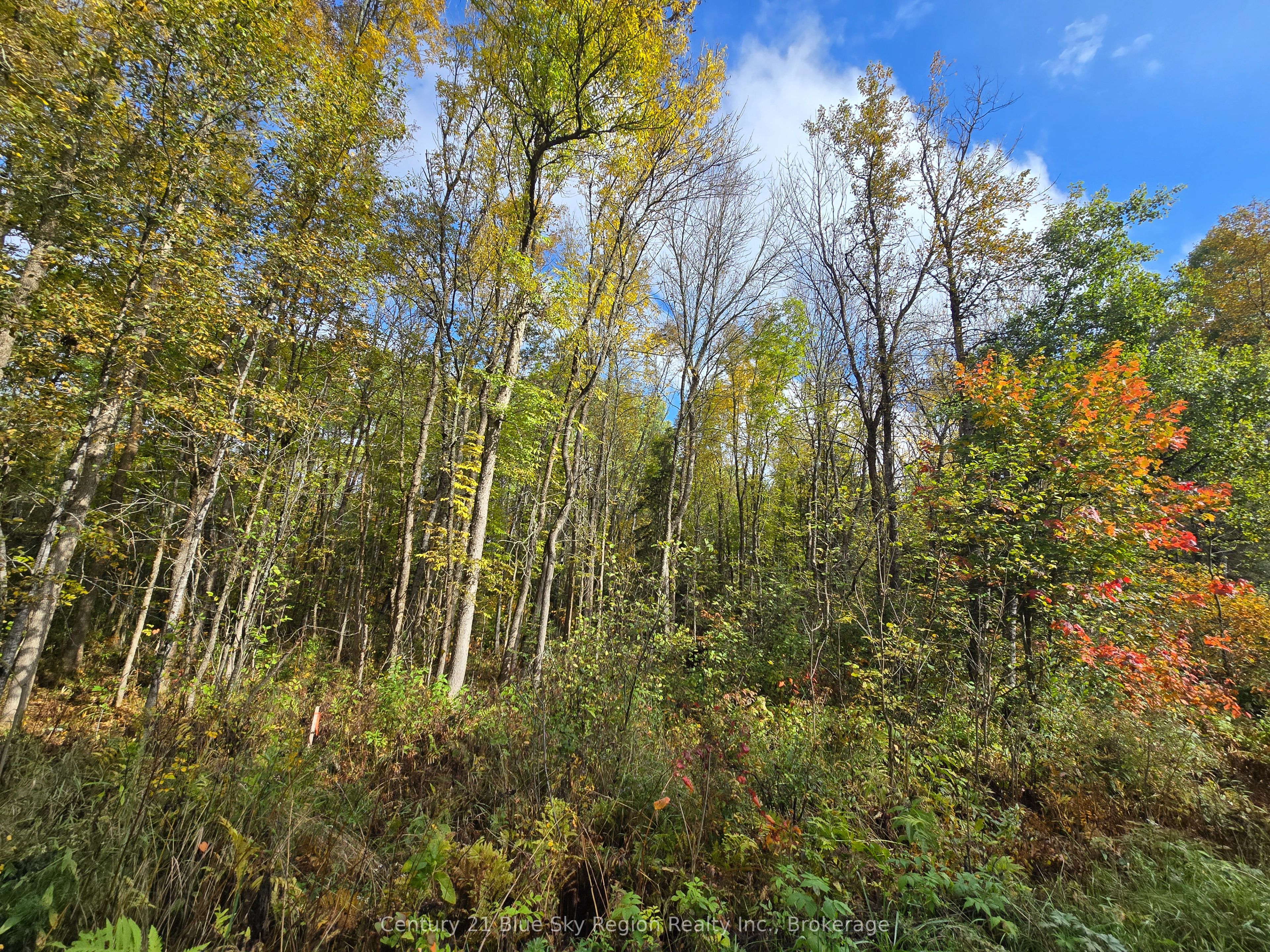 3 Guillemette Rd Property Photo 1