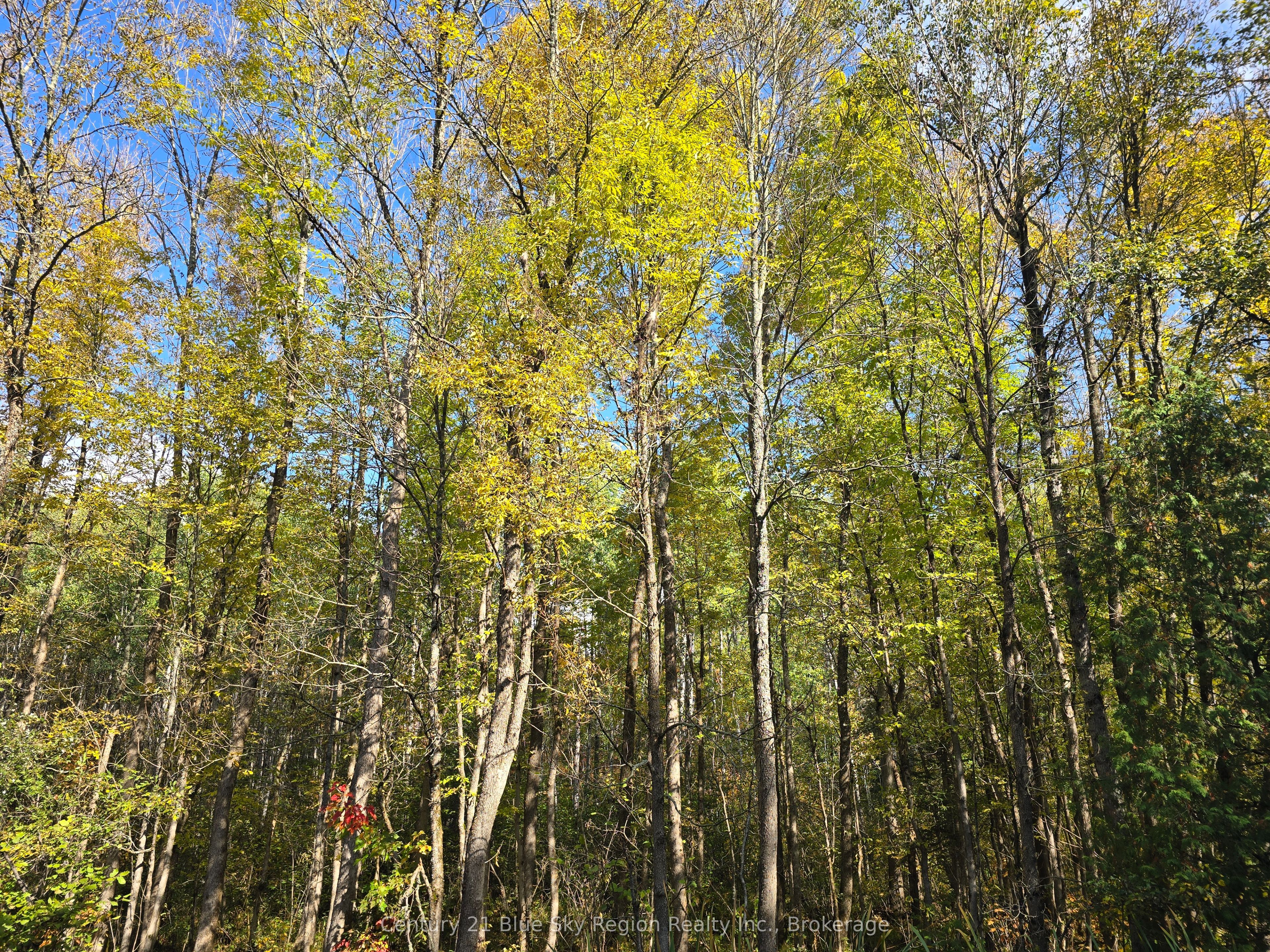 3 Guillemette Rd Property Photo 2