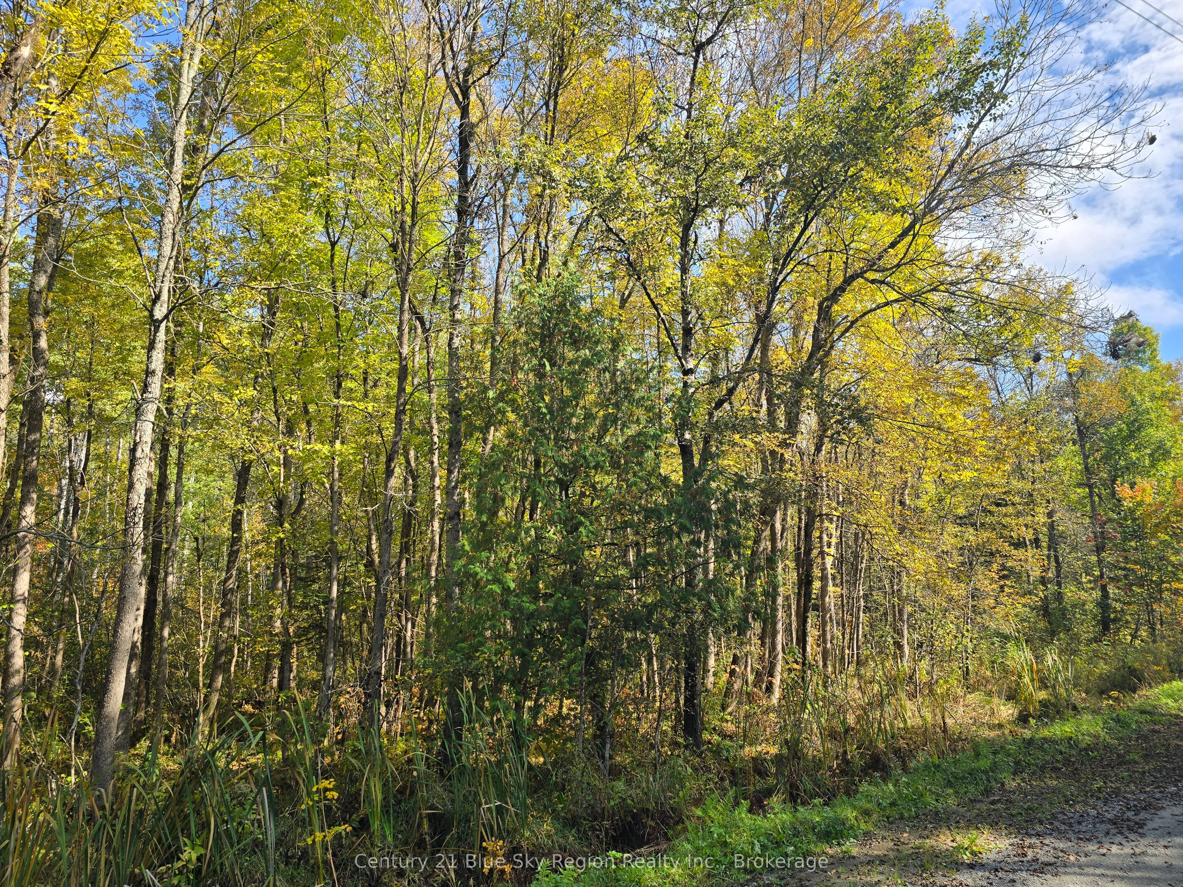 3 Guillemette Rd Property Photo 3